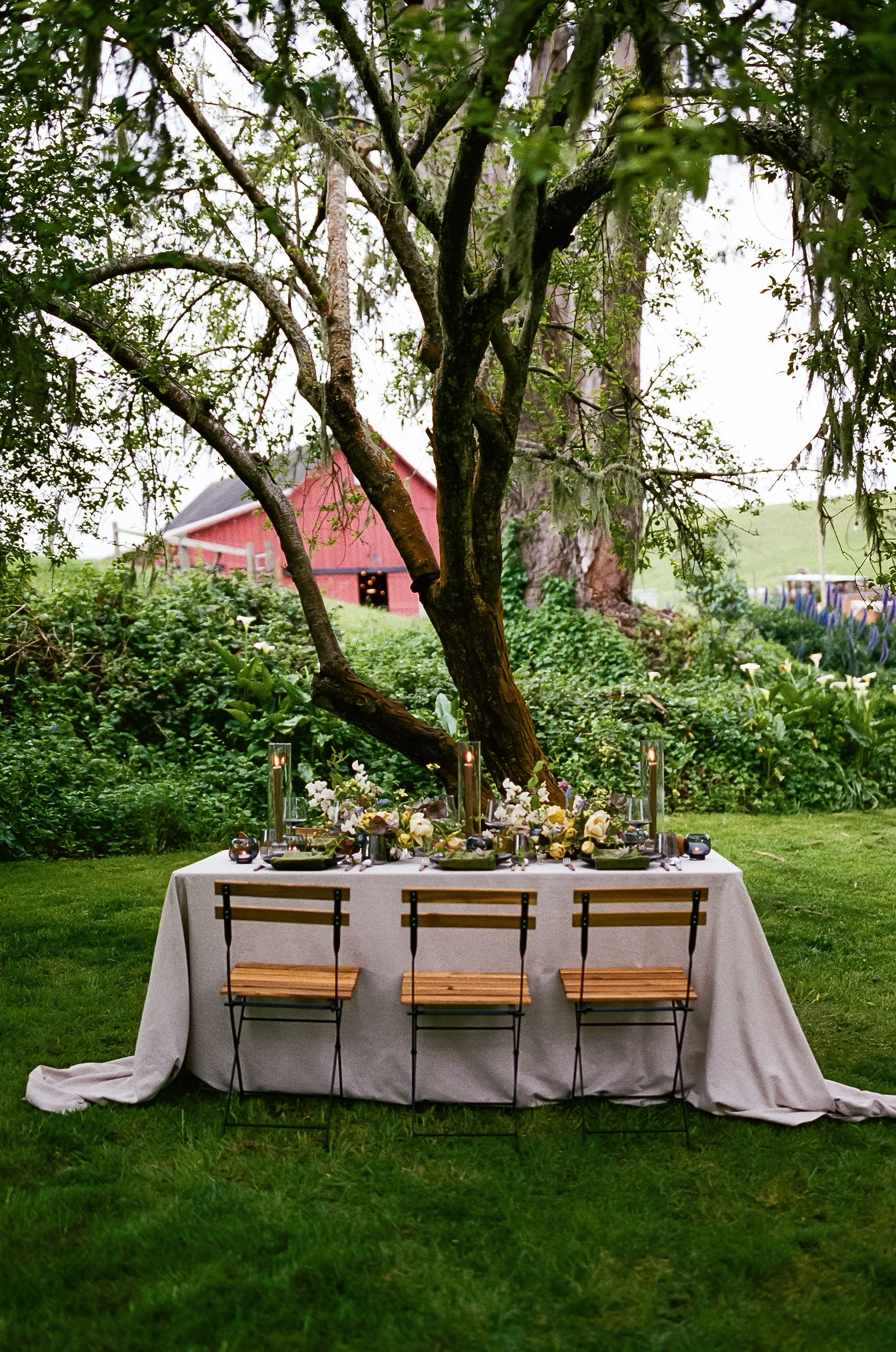KollerDesignStyledShootFILM-29.jpg