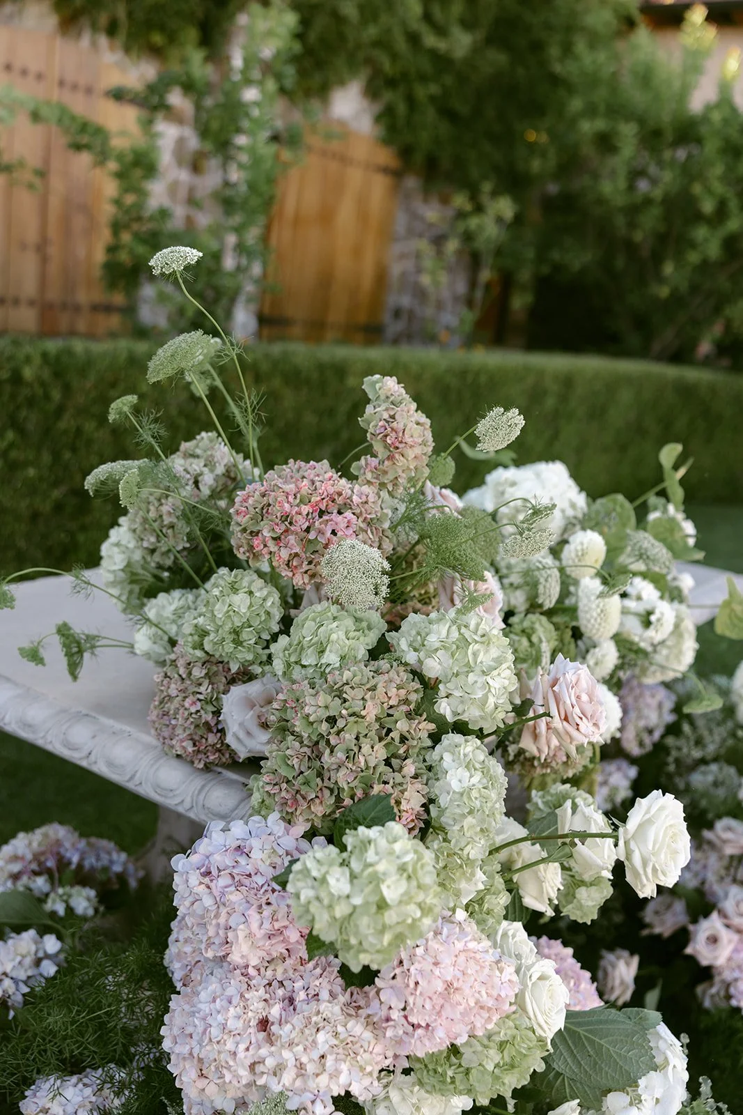 Haley + William - Sonoma