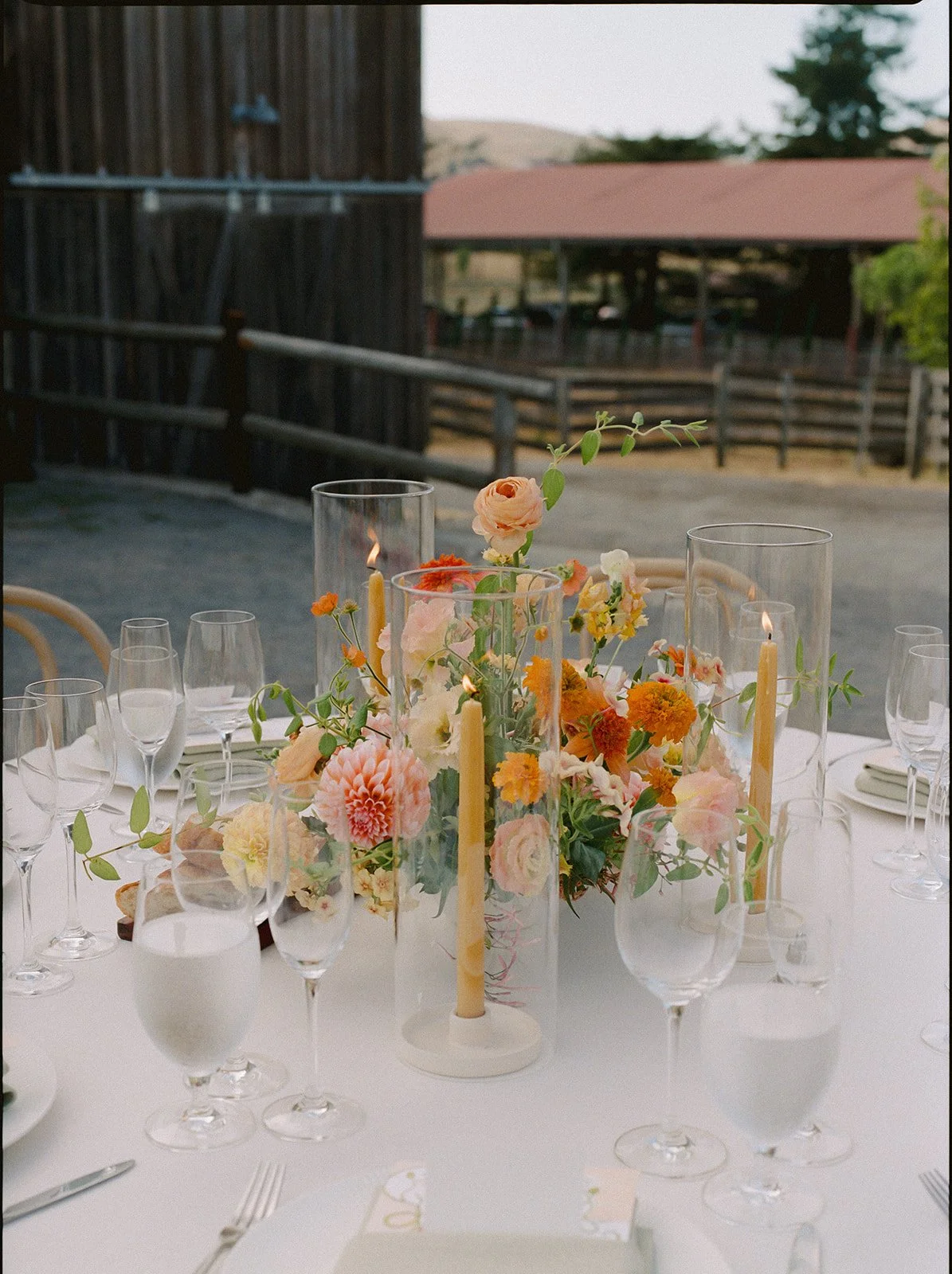 Laure + Liam - Olympia Valley Estate 