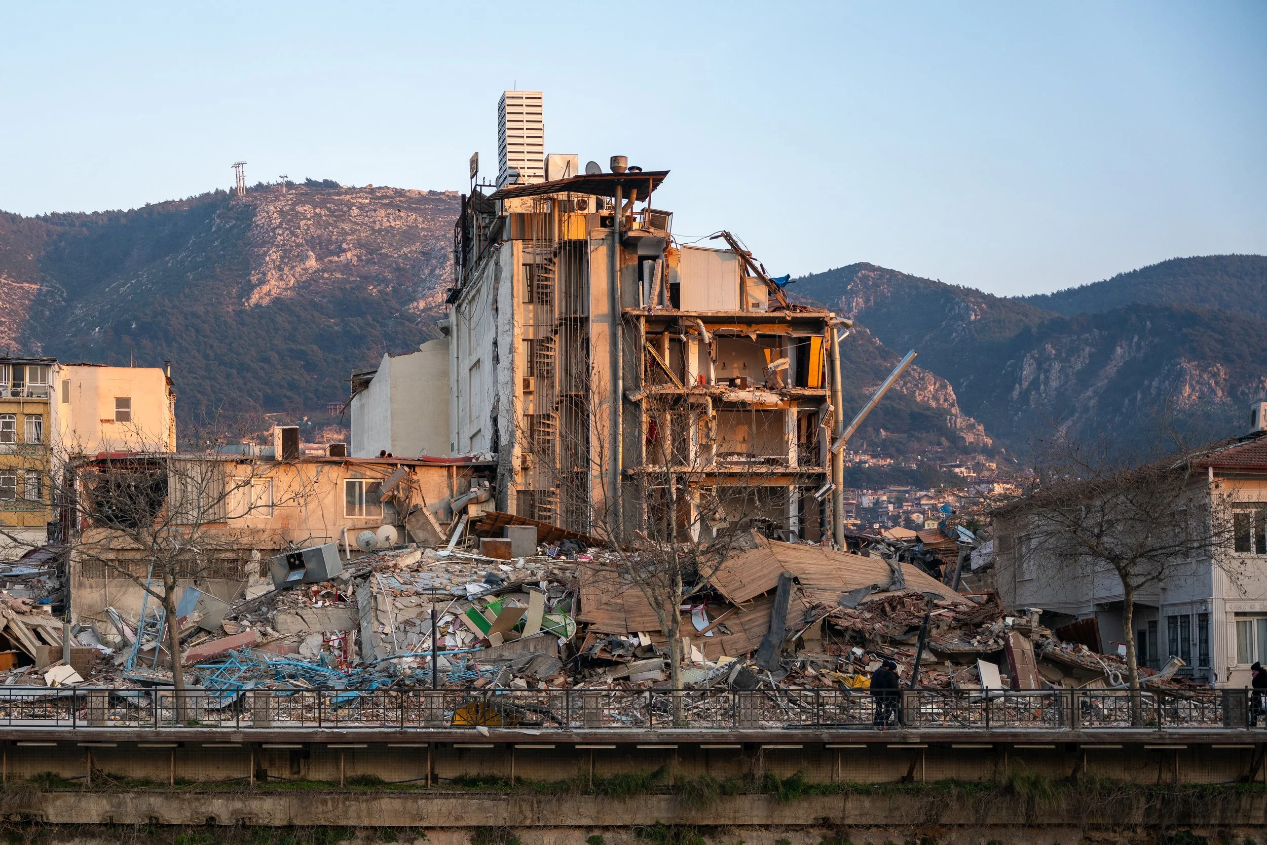 Panel 1: Emergency Responses