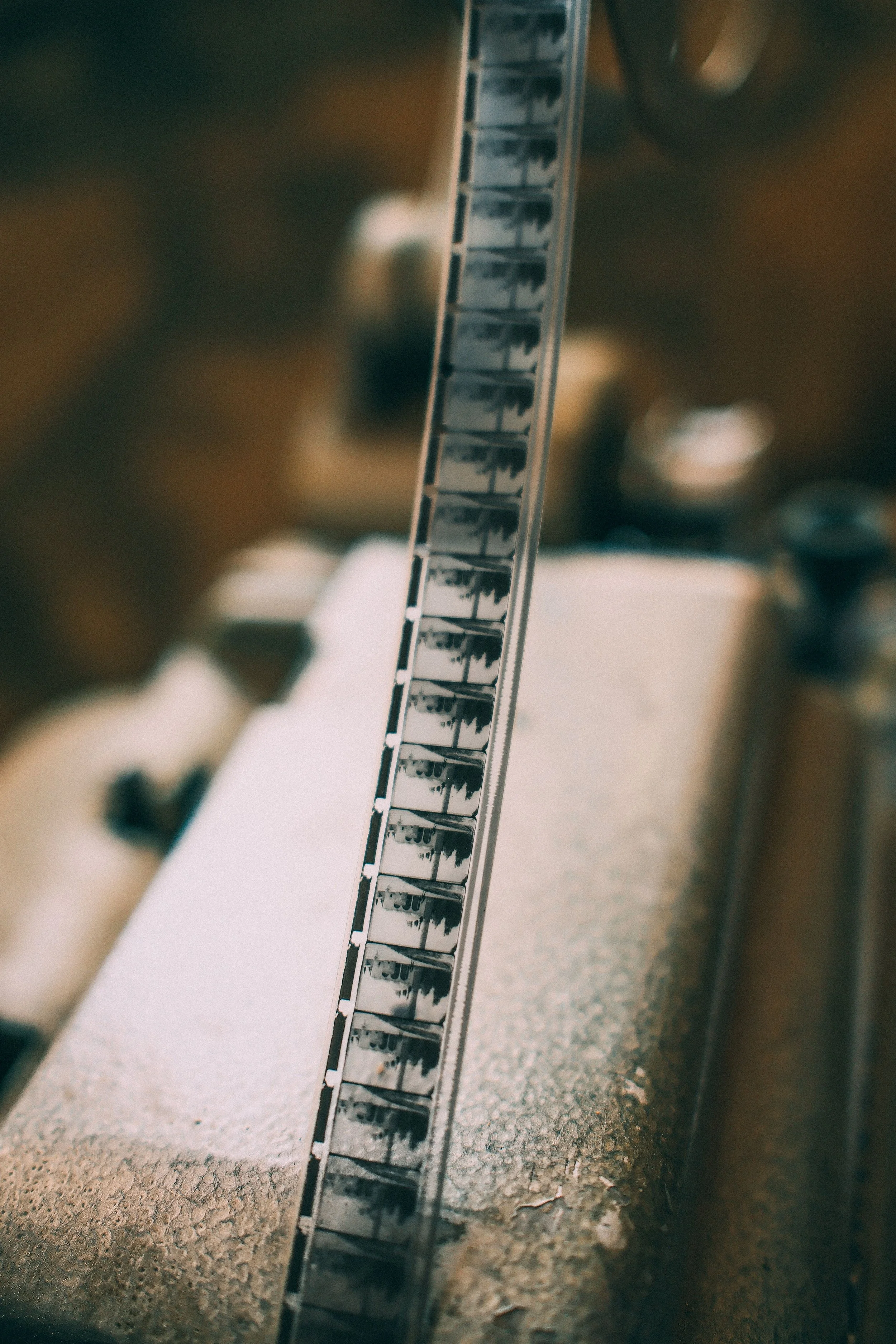 The Time Machines We Keep: Why Photographs, Scrapbooks, and Home Movies Matter