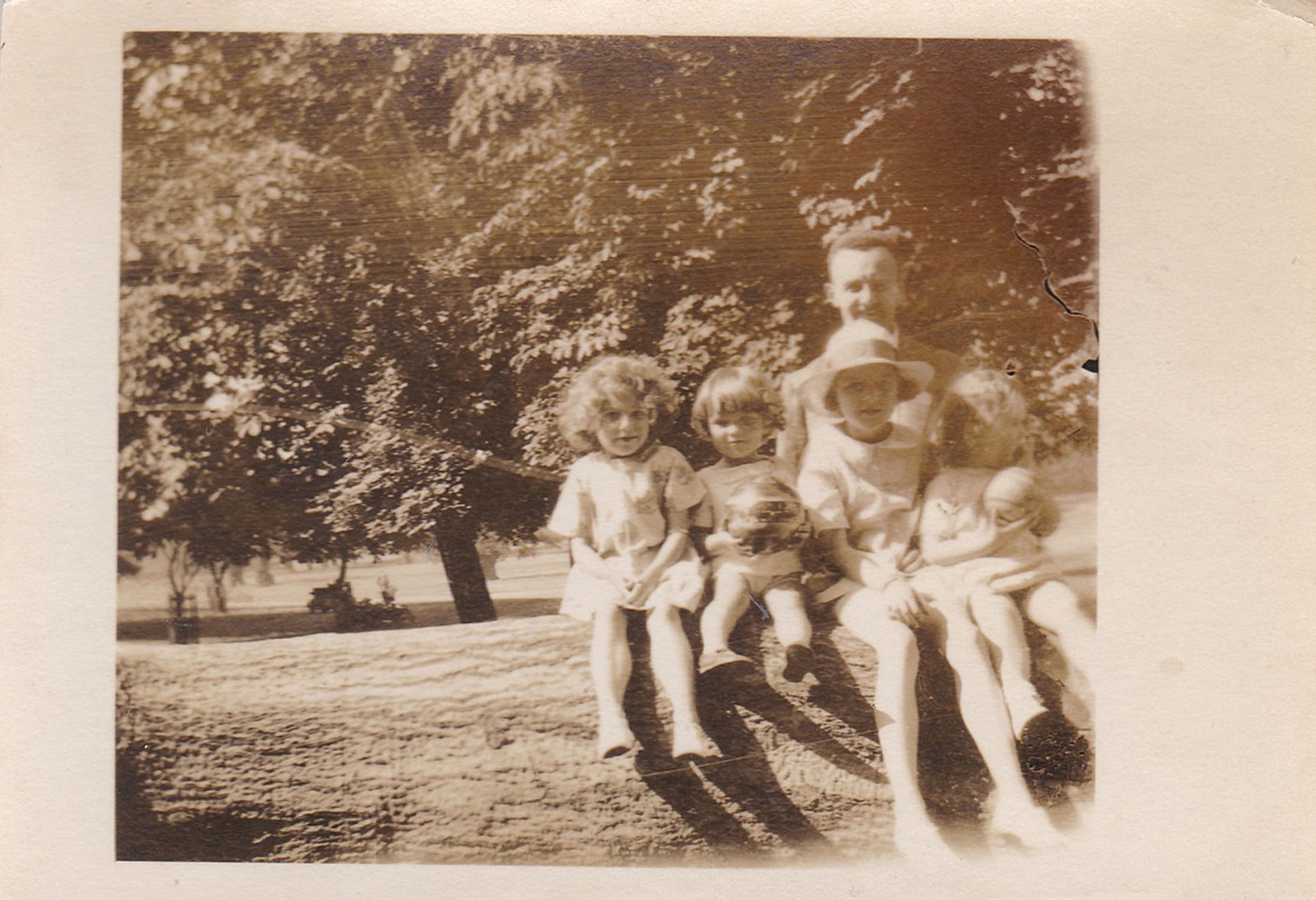 "We Hadn't Seen These Memories in Decades": Families Rediscover Their Past Through Home Movie Preservation