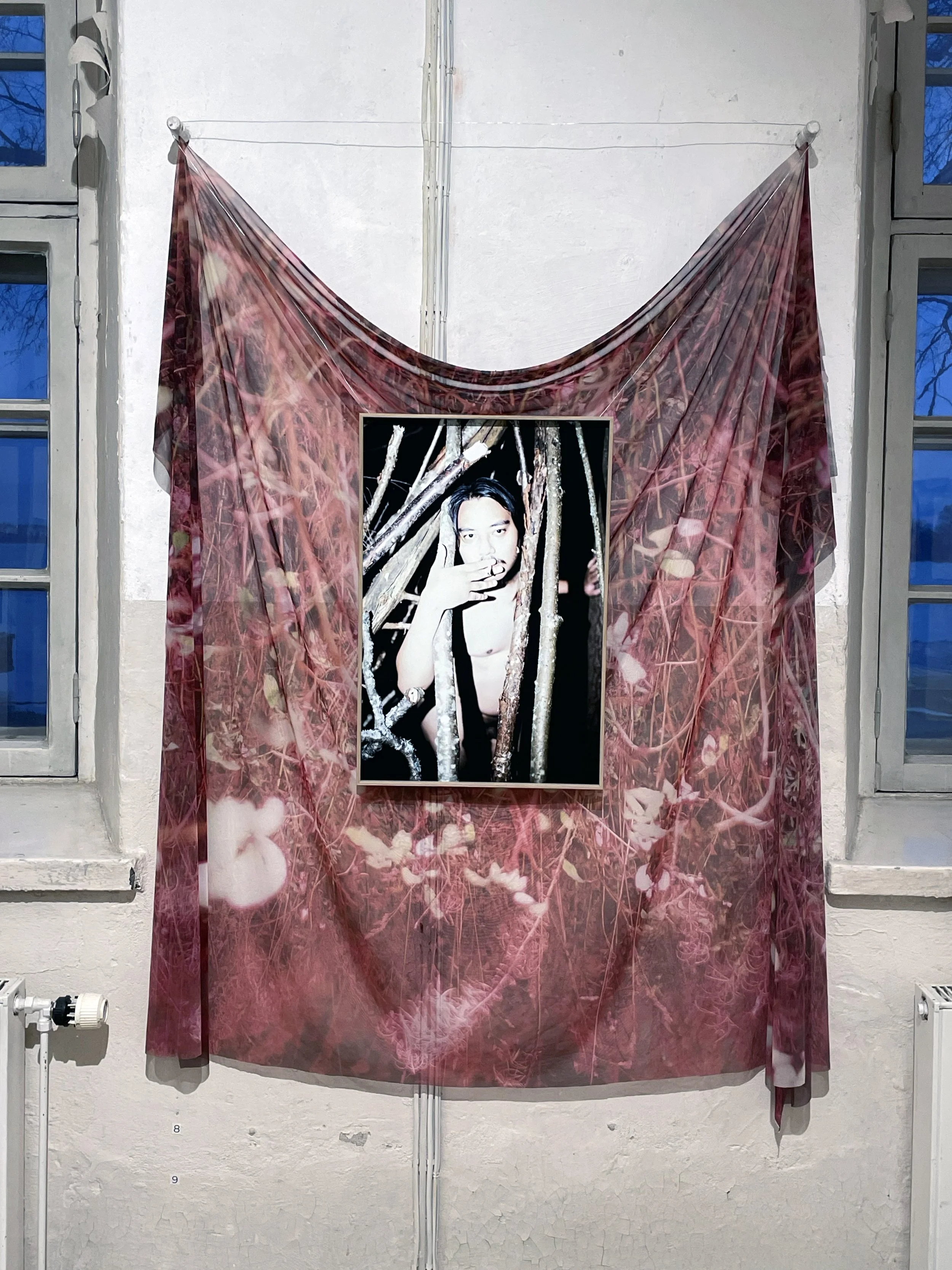 Lily of the Night Valley