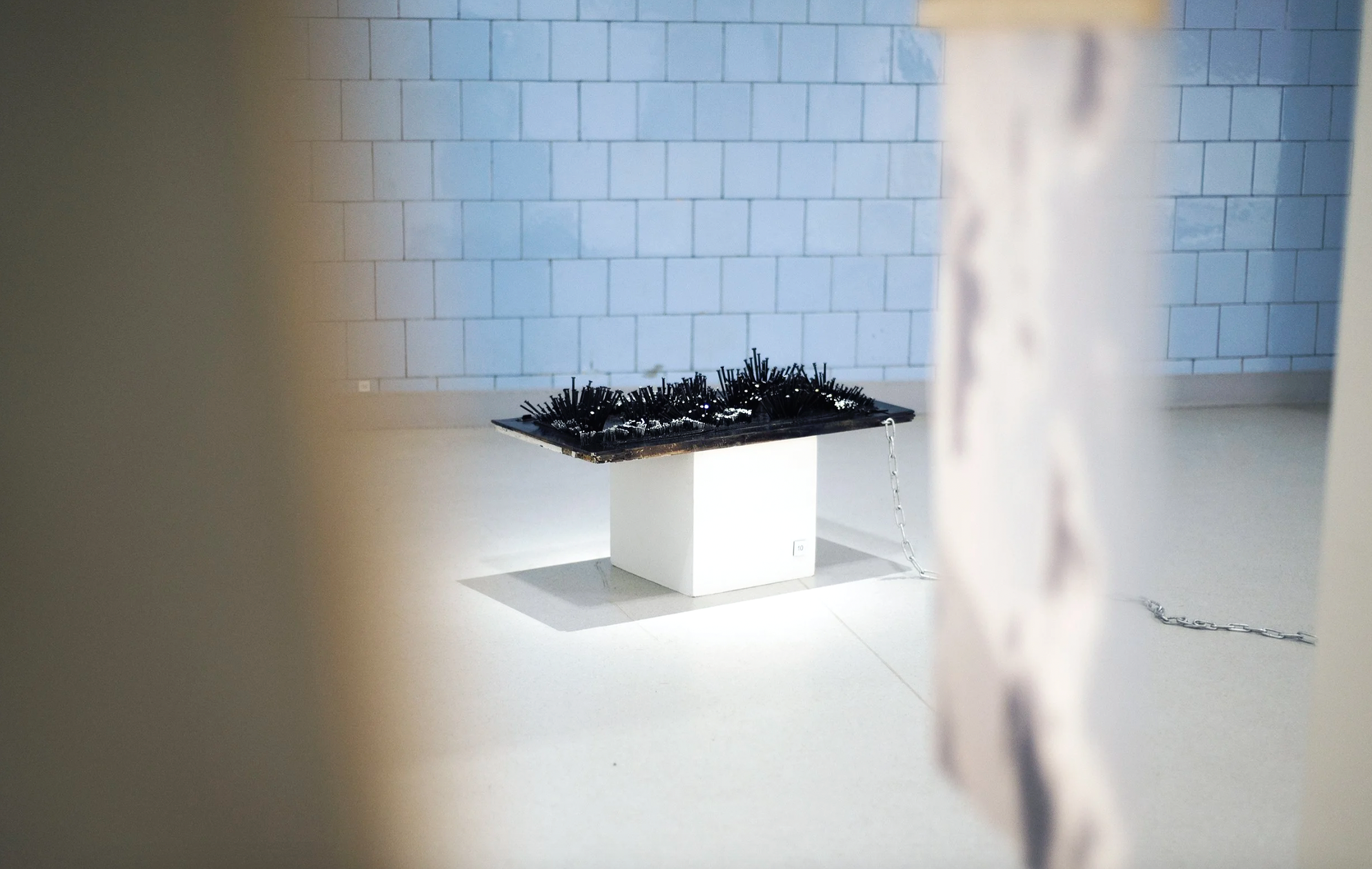 The Allergic Cowboy — exhibition