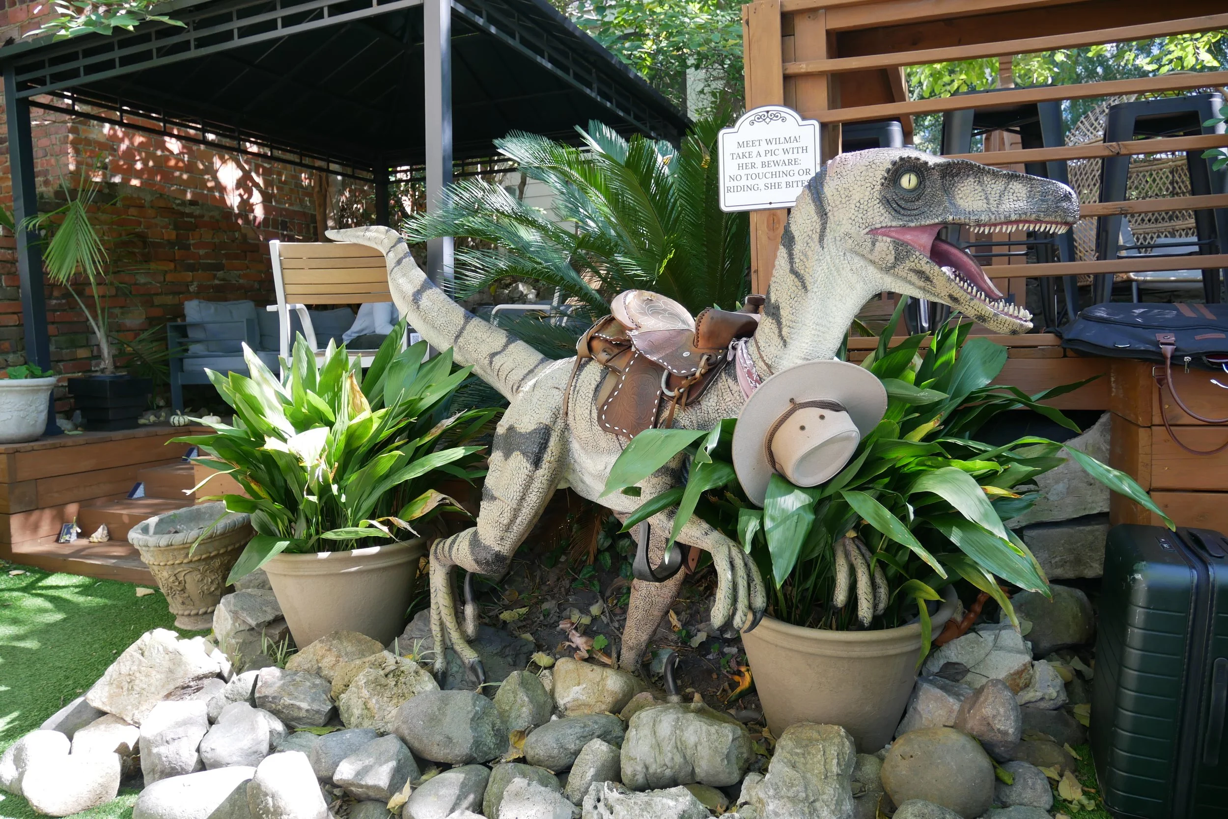 Hidden Grounds Coffee Builds a Brand on the Backs of Dinosaurs