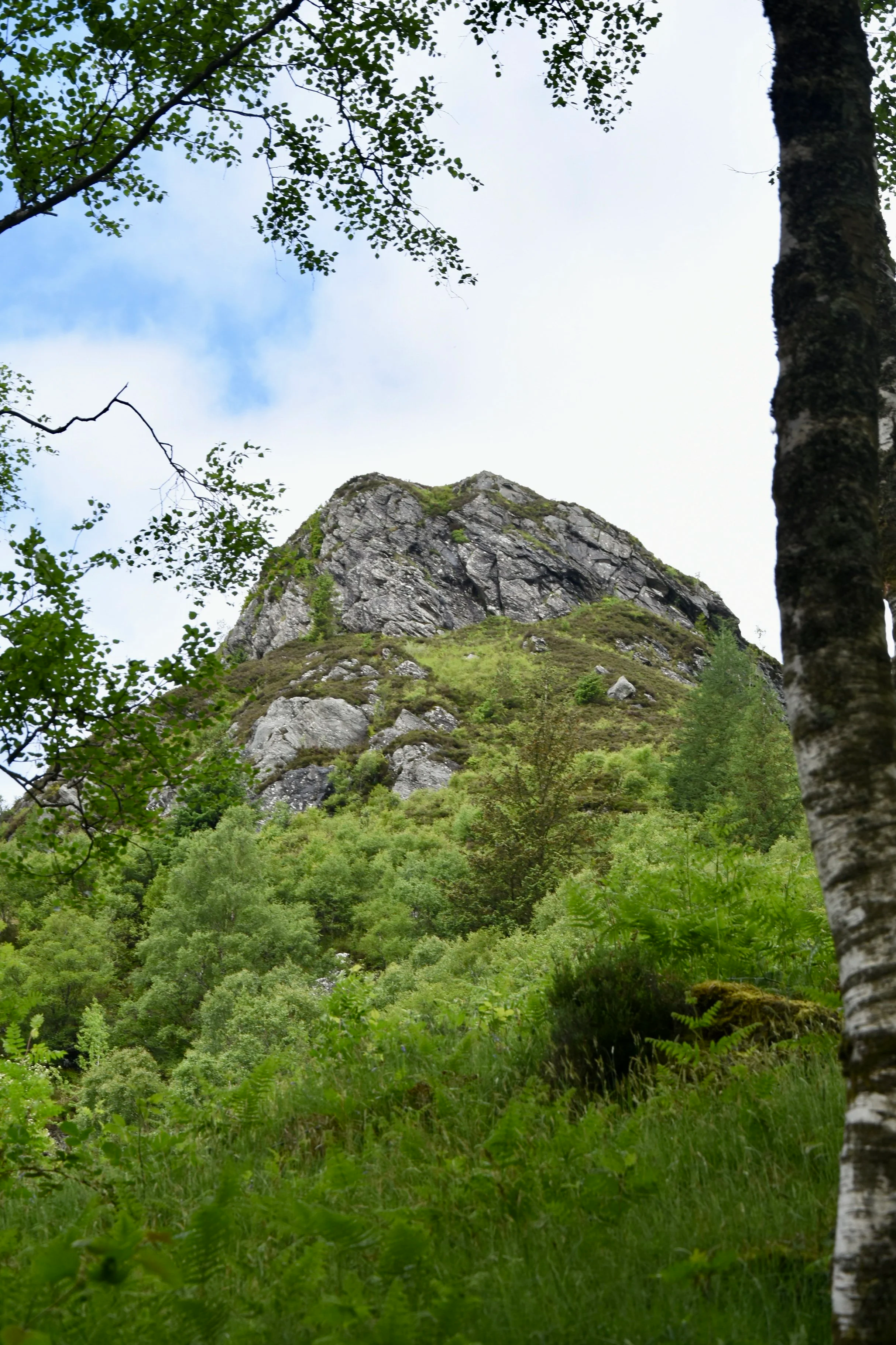 Wildlife photography, wildlife photographer, photographer, Bury St Edmunds photographer, wildlife, nature, TD Photographer,  TD Photography