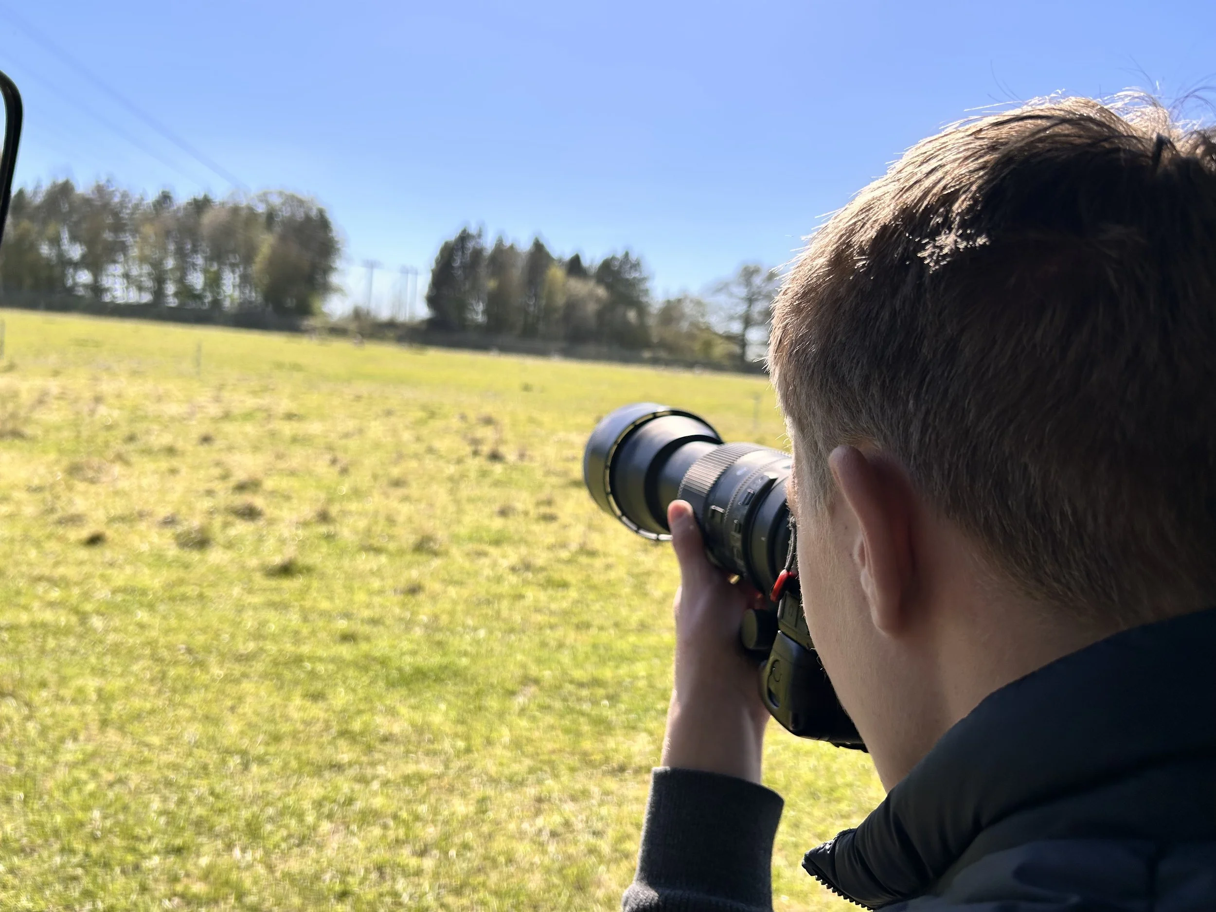 Bury St Edmunds Photographer, photographer, pet photographer, wildlife photographer, Theo Douglas