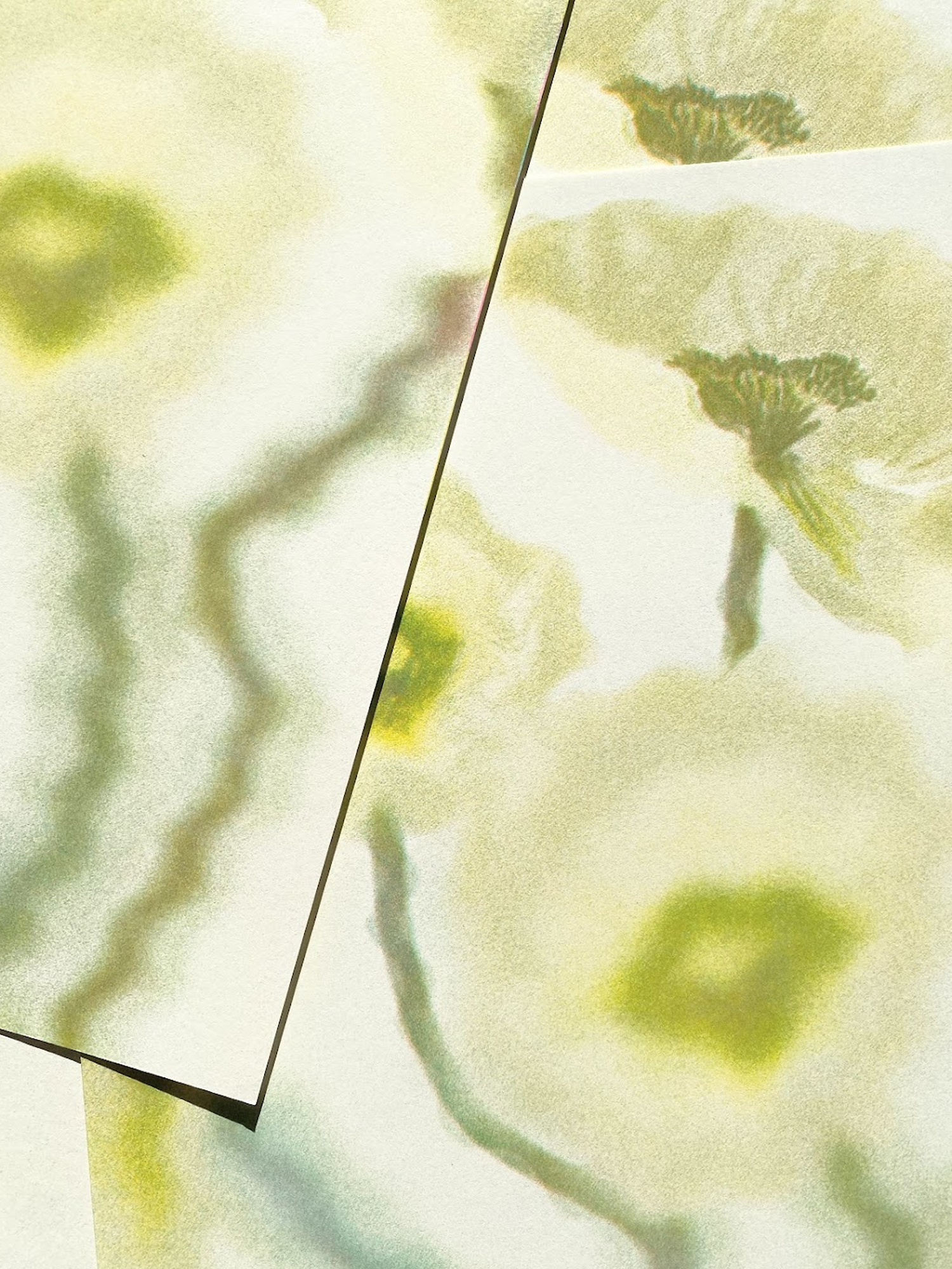 Mesa de trabajo 2.png