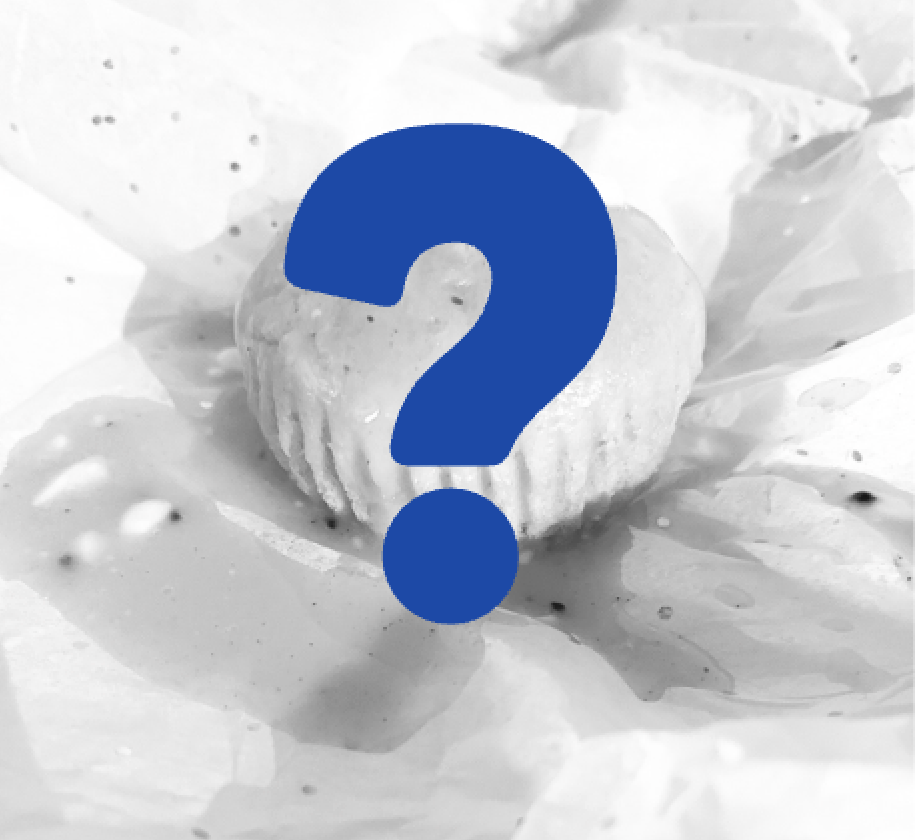 Choose your own adventure