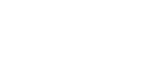 SYSTEM LIZARD