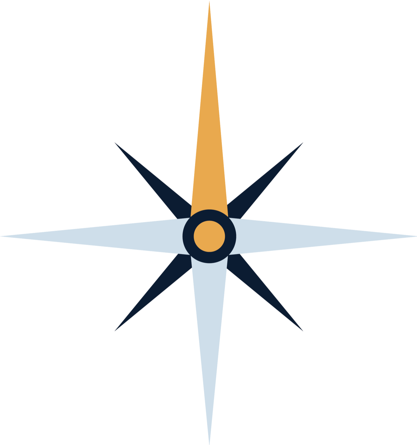 A digital illustration of a star-shaped compass rose with alternating black, white, and gold points.