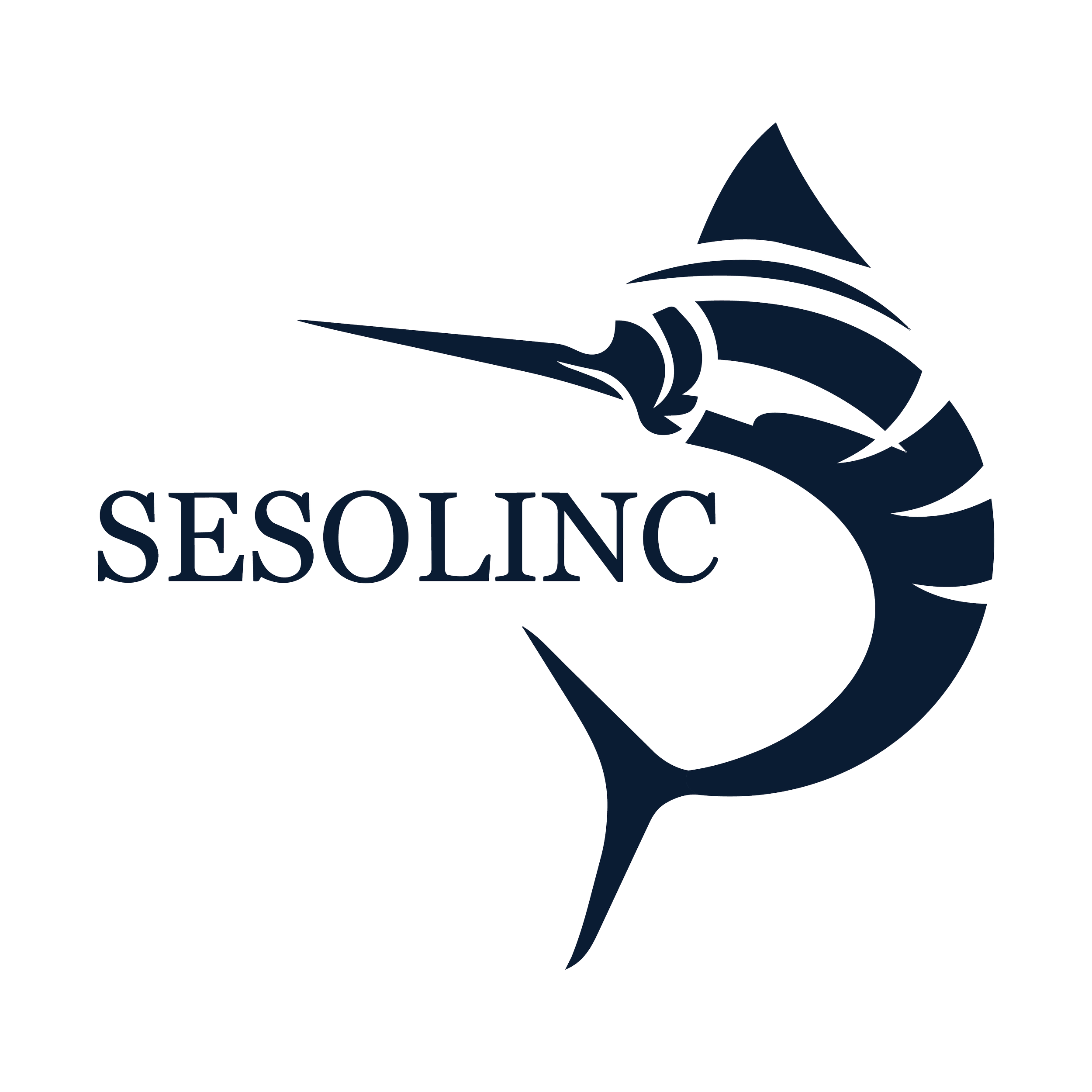 Logo with a stylized sailboat and waves, above the words 'STESSING INC.' in dark blue text.