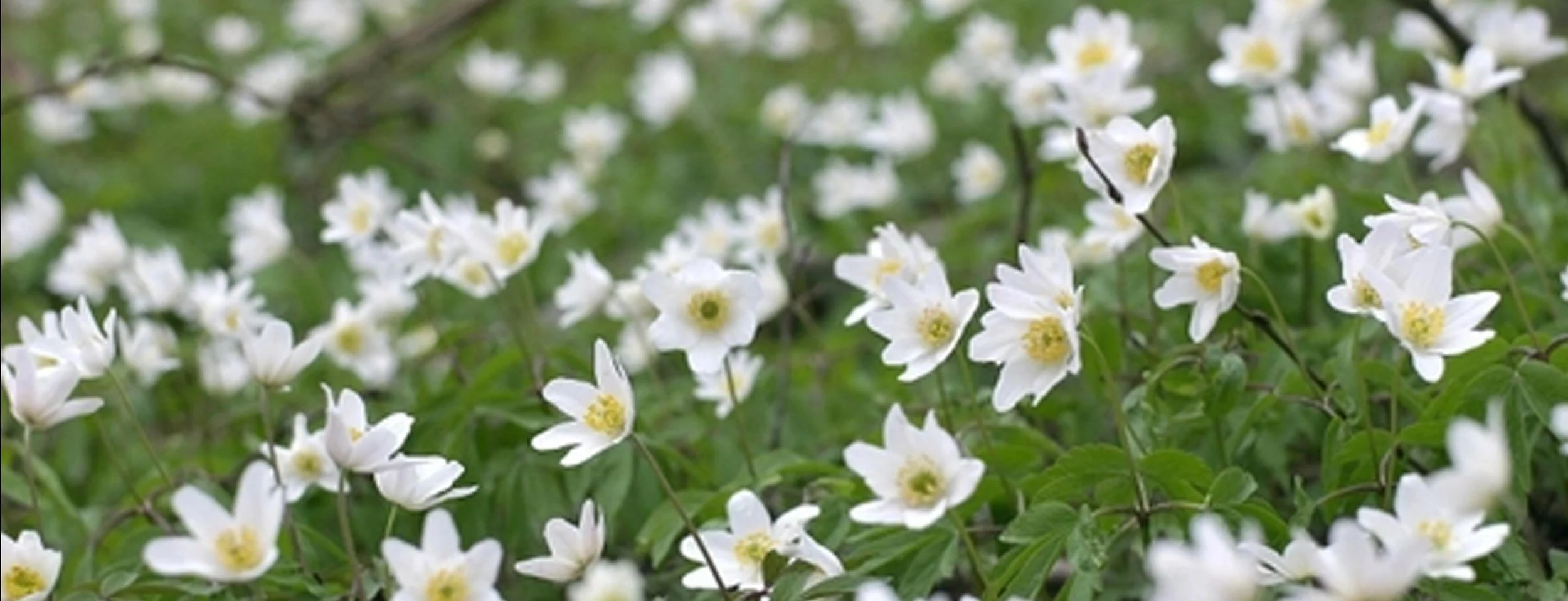 Seeking God in a Self-Obsessed World