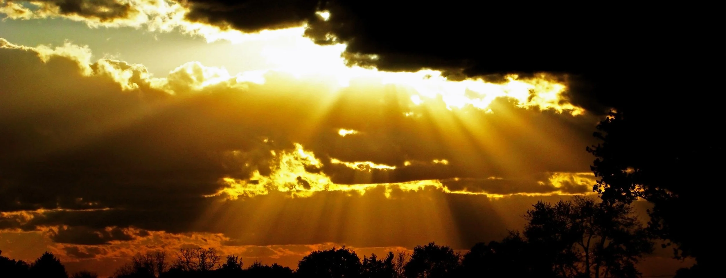 The “I Wills” of God