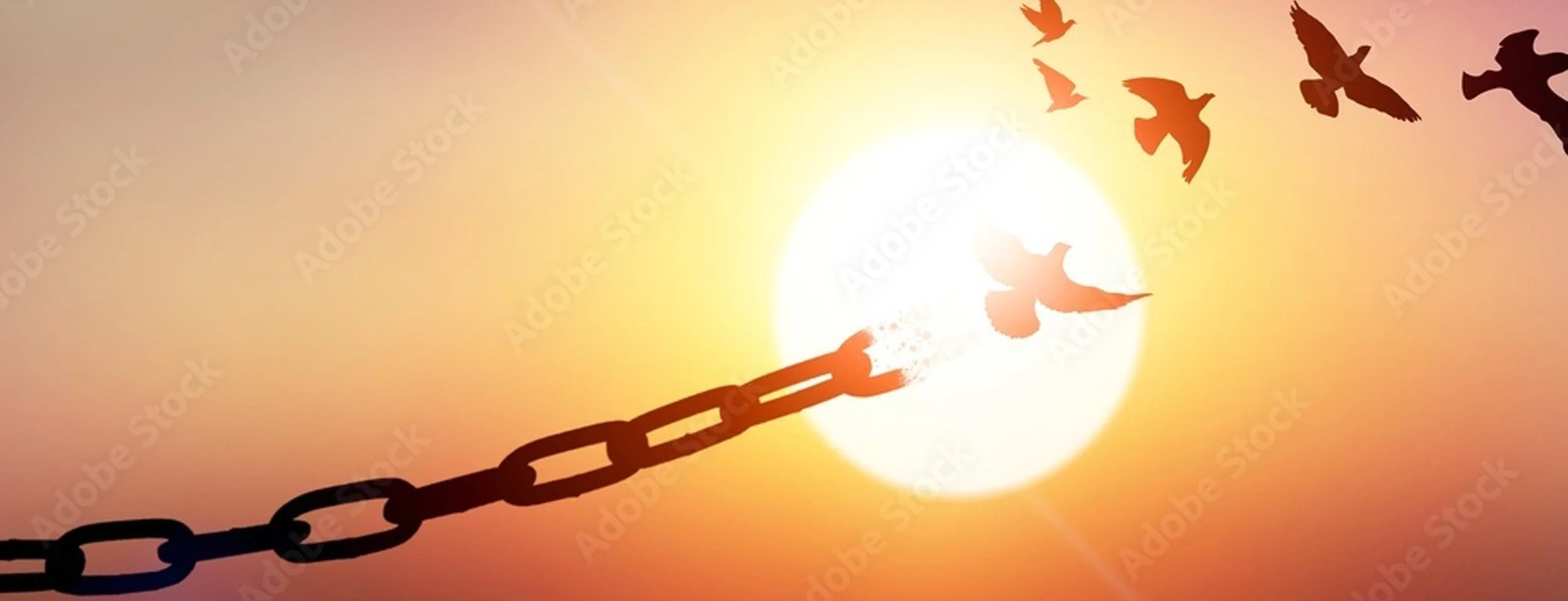 Breaking Free