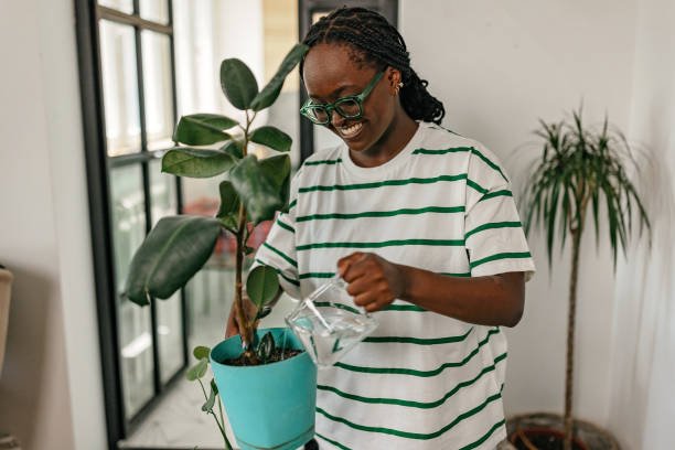 Winter Watering Guide: Beyond the Basics