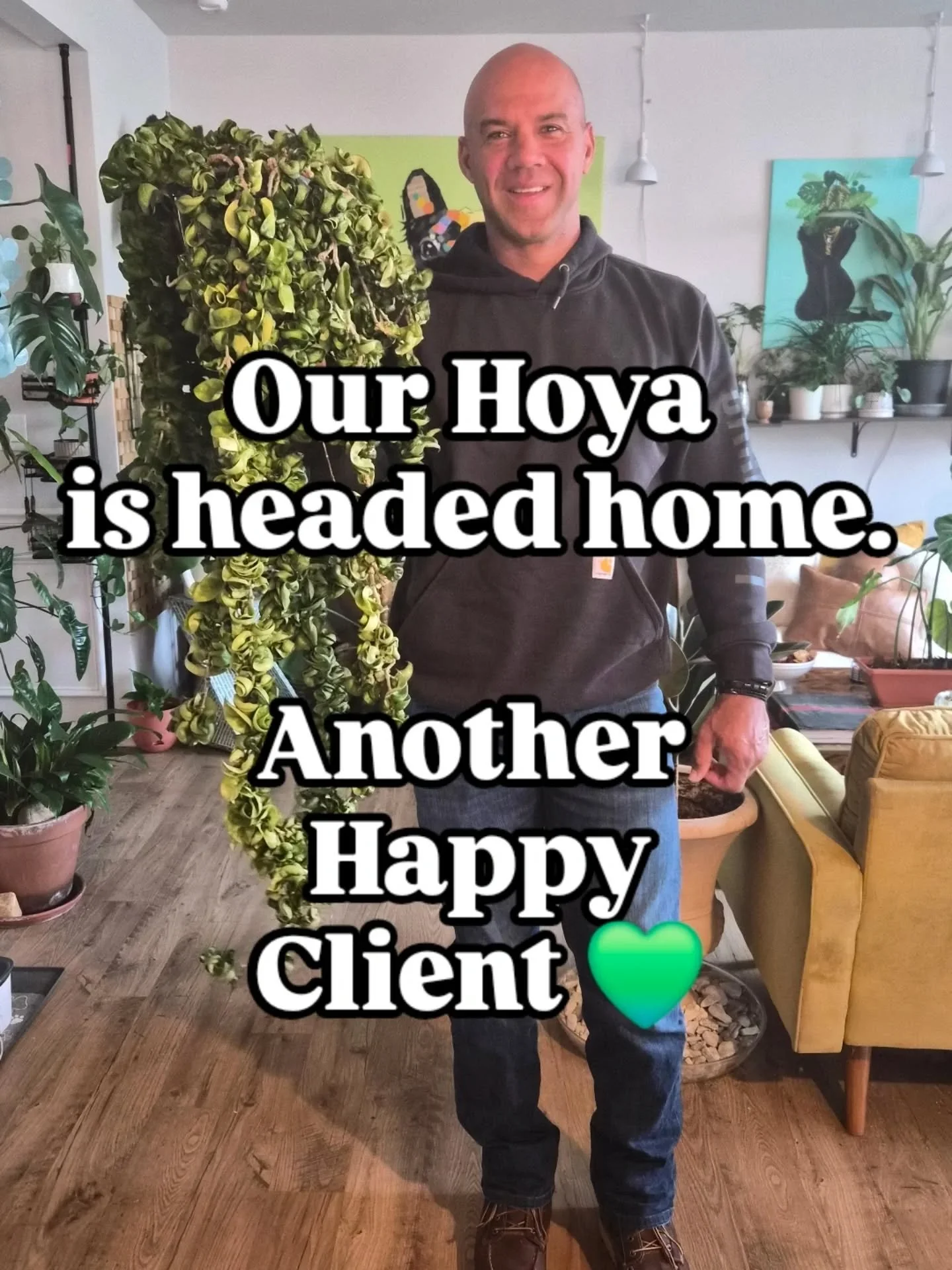 Another successful PlantRehab 🙌🏽 

Got a challenged plant in the Charlotte area? Book with me today and let's save your green baby 🌱

#plantrehab #plantcare #Charlotte #indoorplants