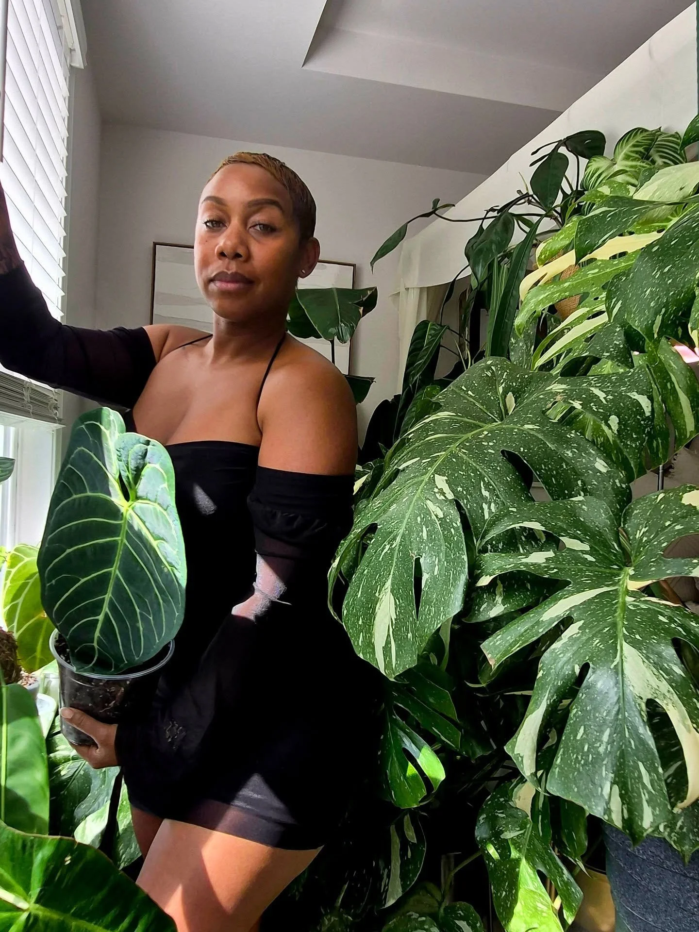 Big Mama, 417 kids 🌱🙃 I think 😬

How many plants do you have?