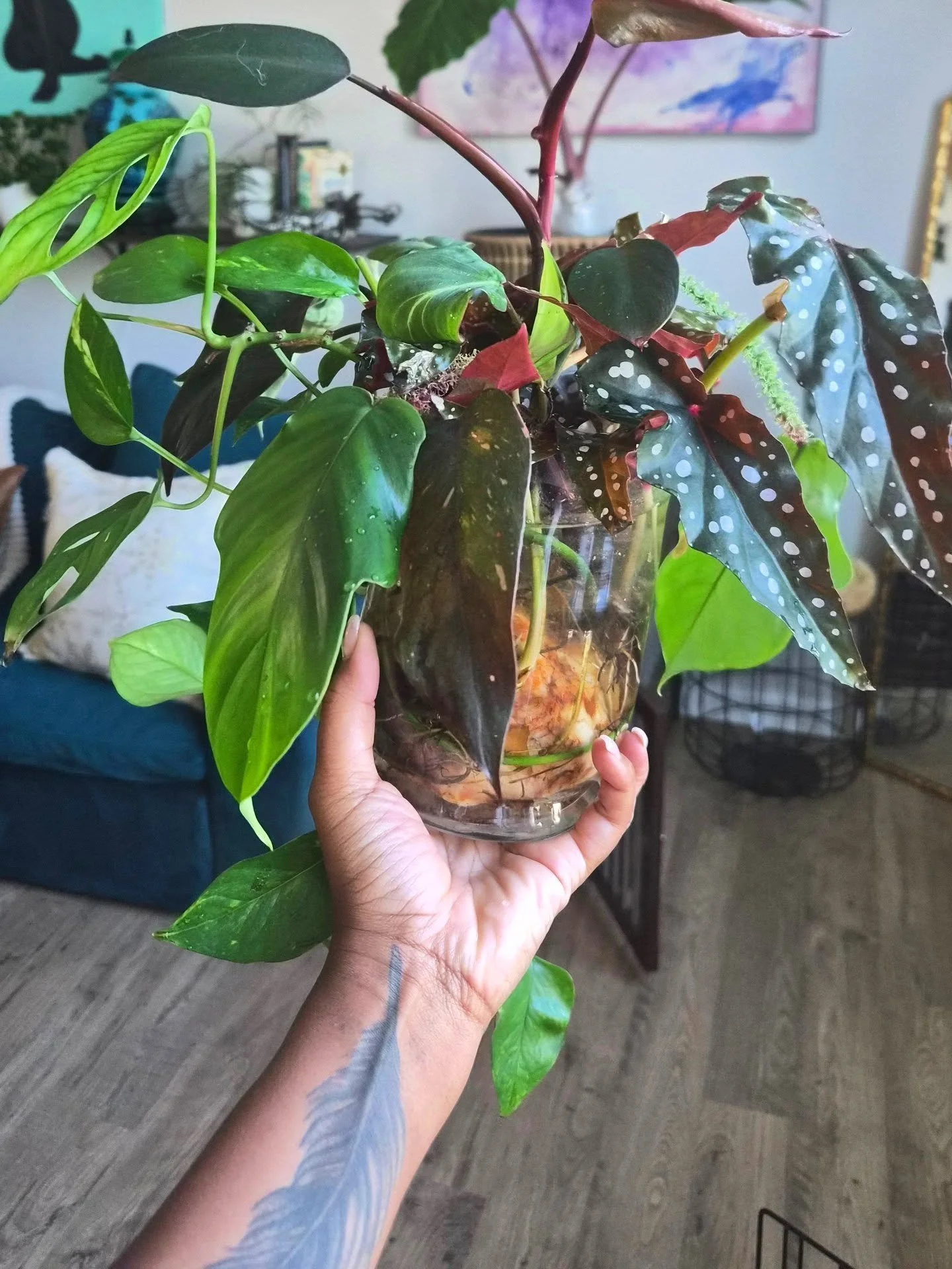 Current obsession: combo propagations 😍

I have been getting really creative with arrangements lately! Creating vibrant combos of color and texture have become an art form when it comes to creating these beautiful pieces.

I love clear glass vases f