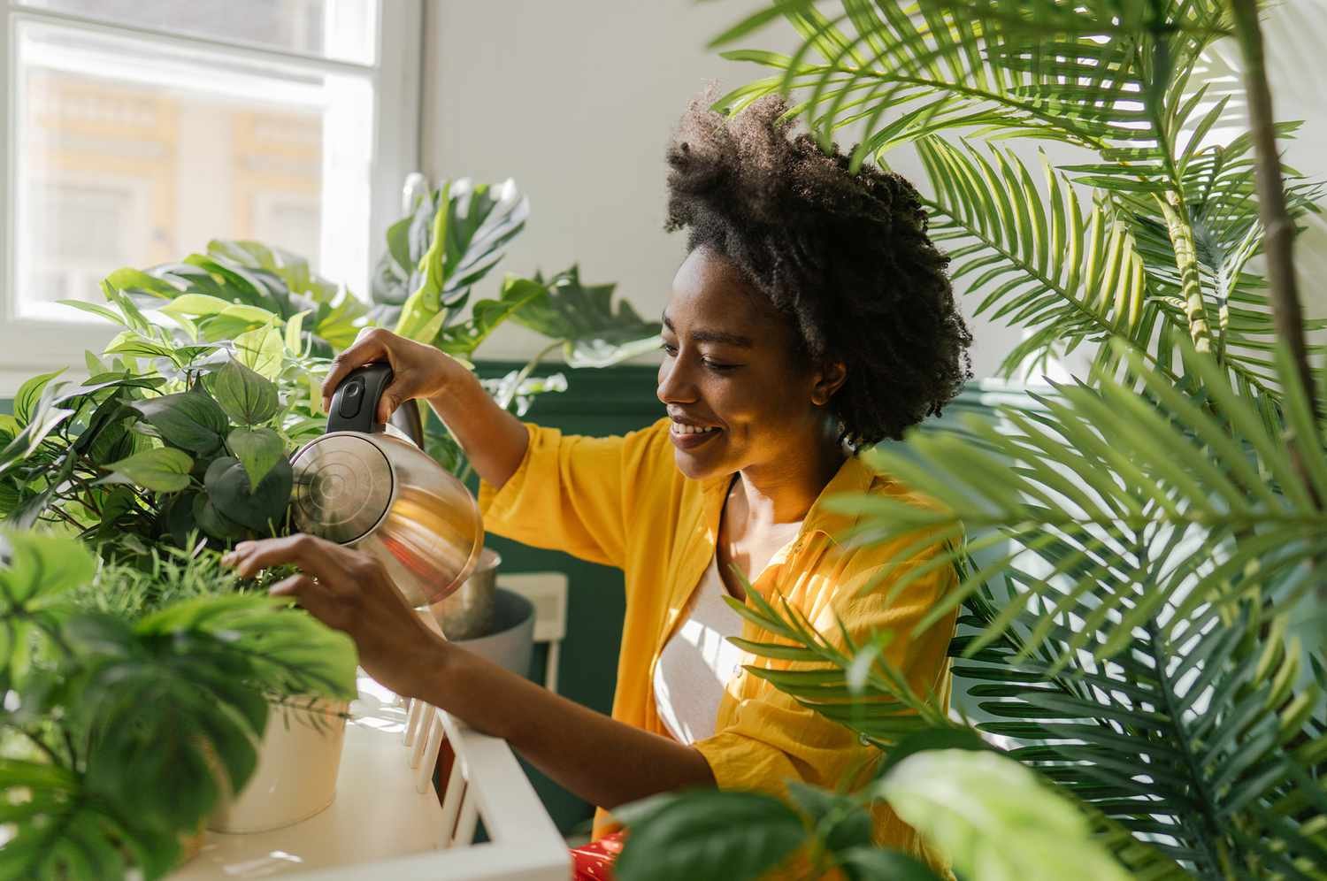 Stop Watering Your Houseplants on a Schedule: A Plant Doctor's Guide to Healthy Roots