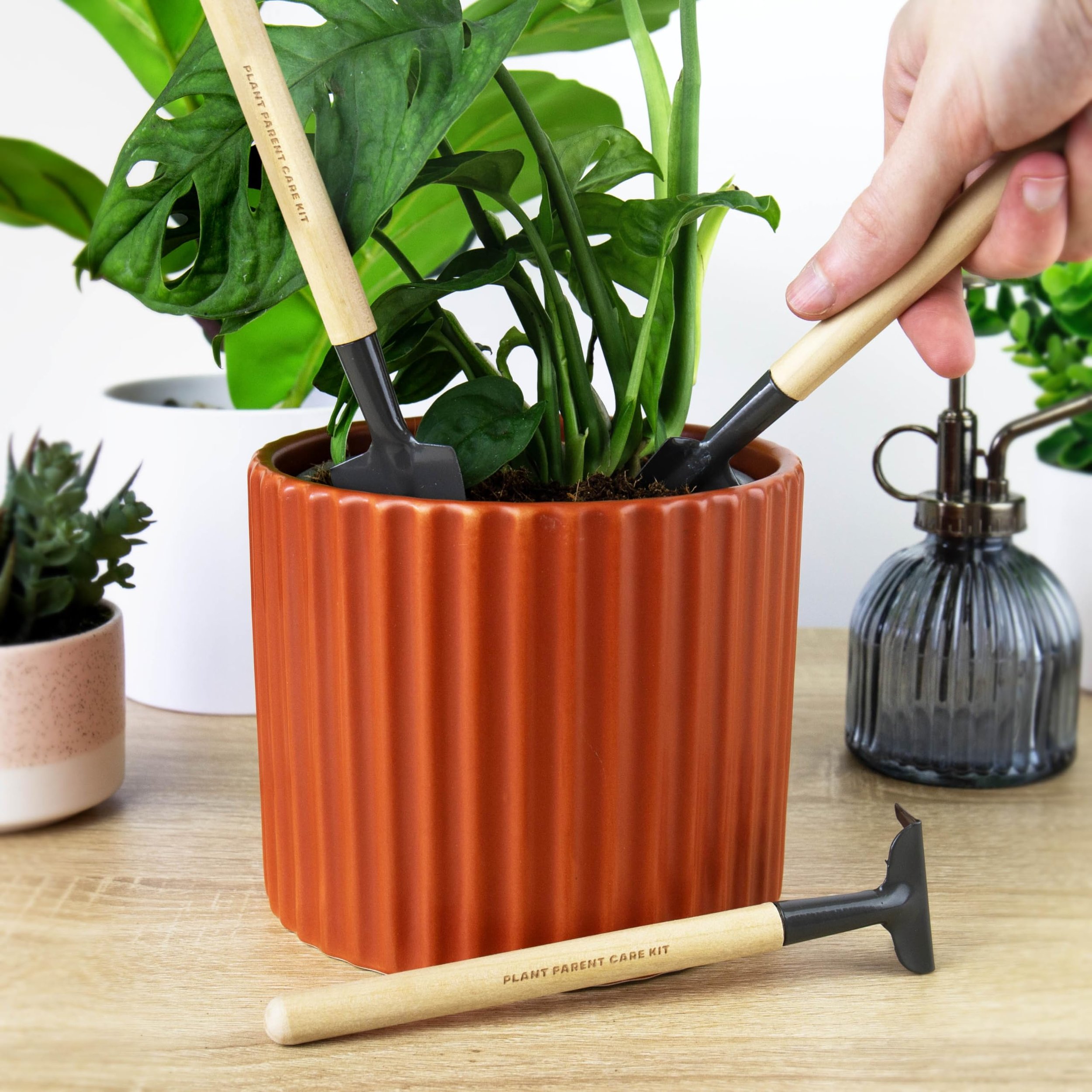 Every Tool Every Plant Parent Should Own | The Ultimate Plant Doctor Toolkit