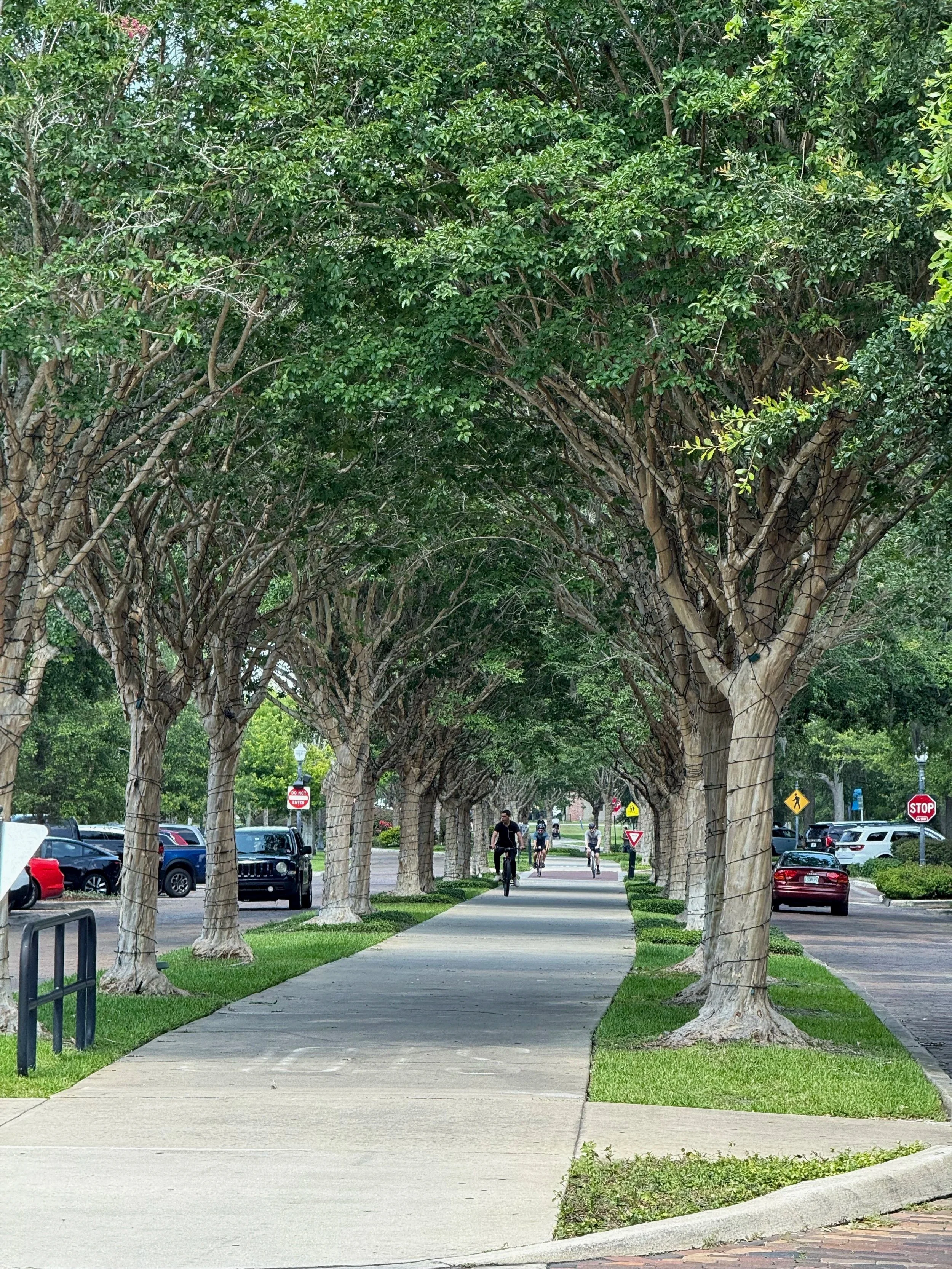 West Orange Trail in Winter Garden: Your Outdoor Awakenings
