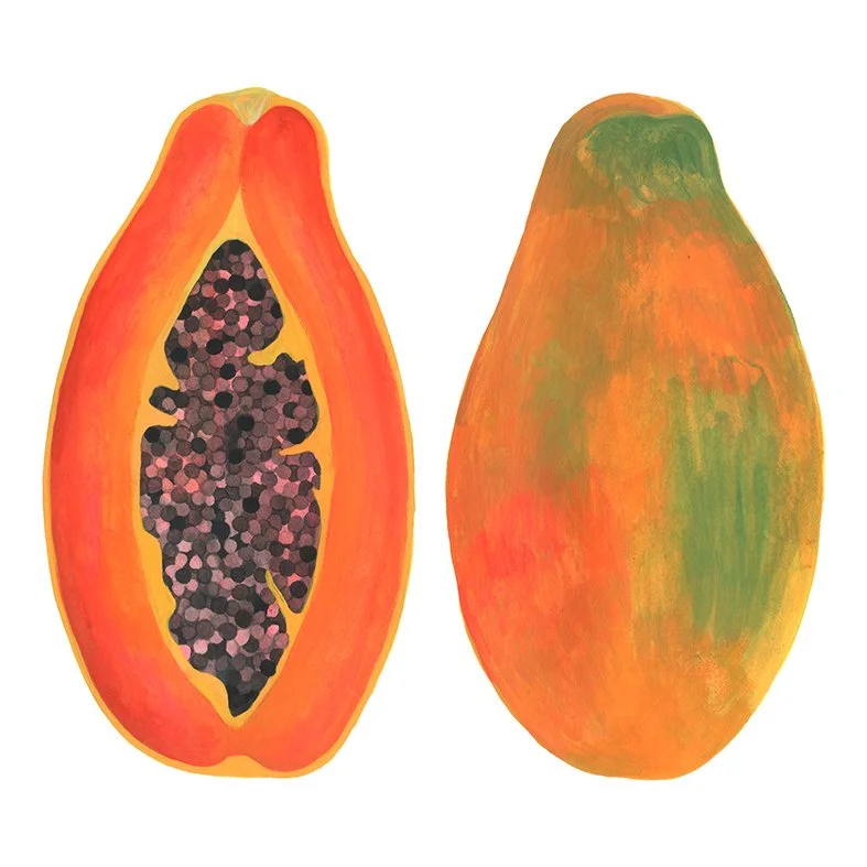 Food Illustrations