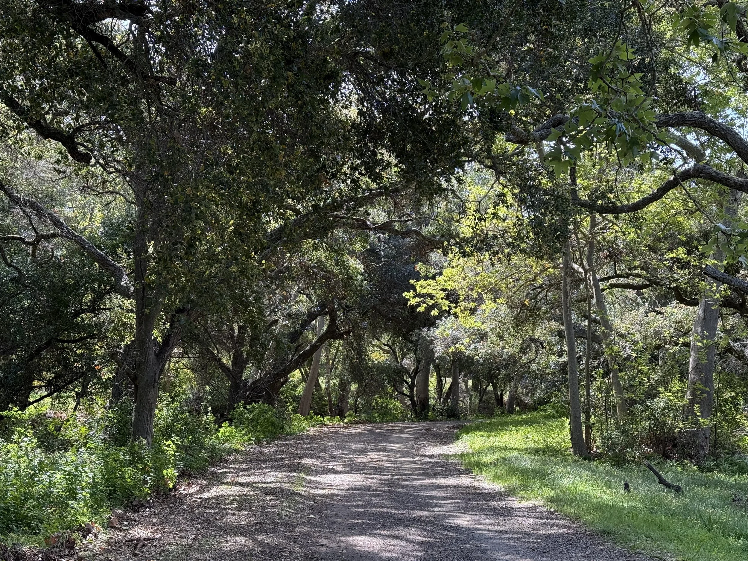 Tour the Preserve! (Public Walk)
