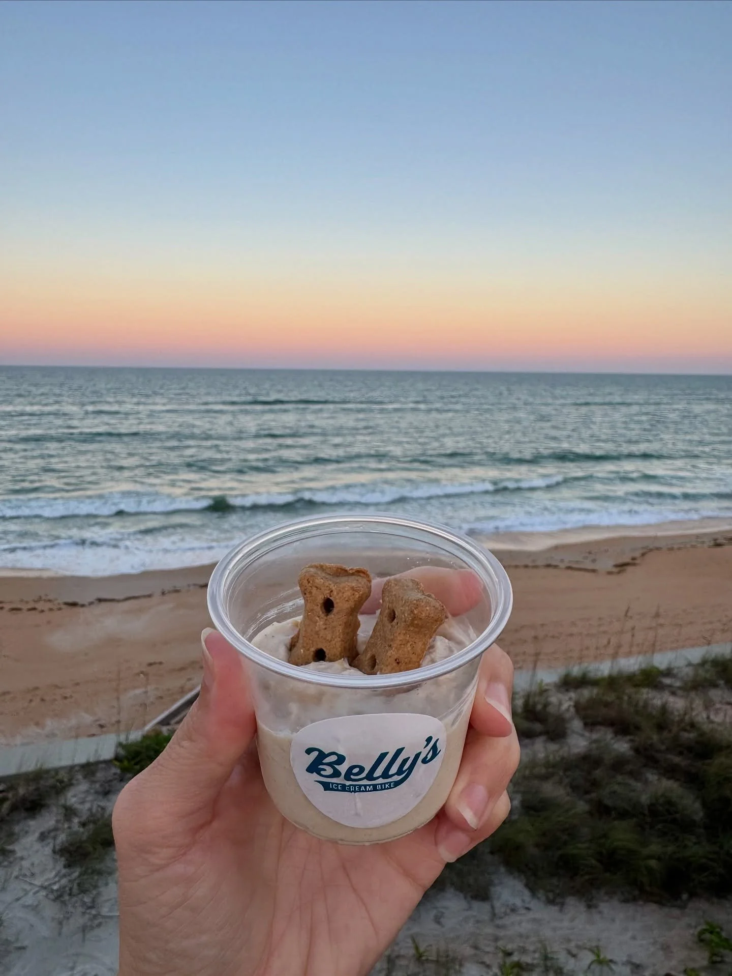 Your dog asked. We delivered. Belly&rsquo;s Pup Cups now available at the bike wherever and whenever we pop up. 🦮🍦🥜🍌

Homemade (by us!) dog ice cream made from bananas, peanut butter and greek yogurt, topped with two all natural Old Mother Hubbar