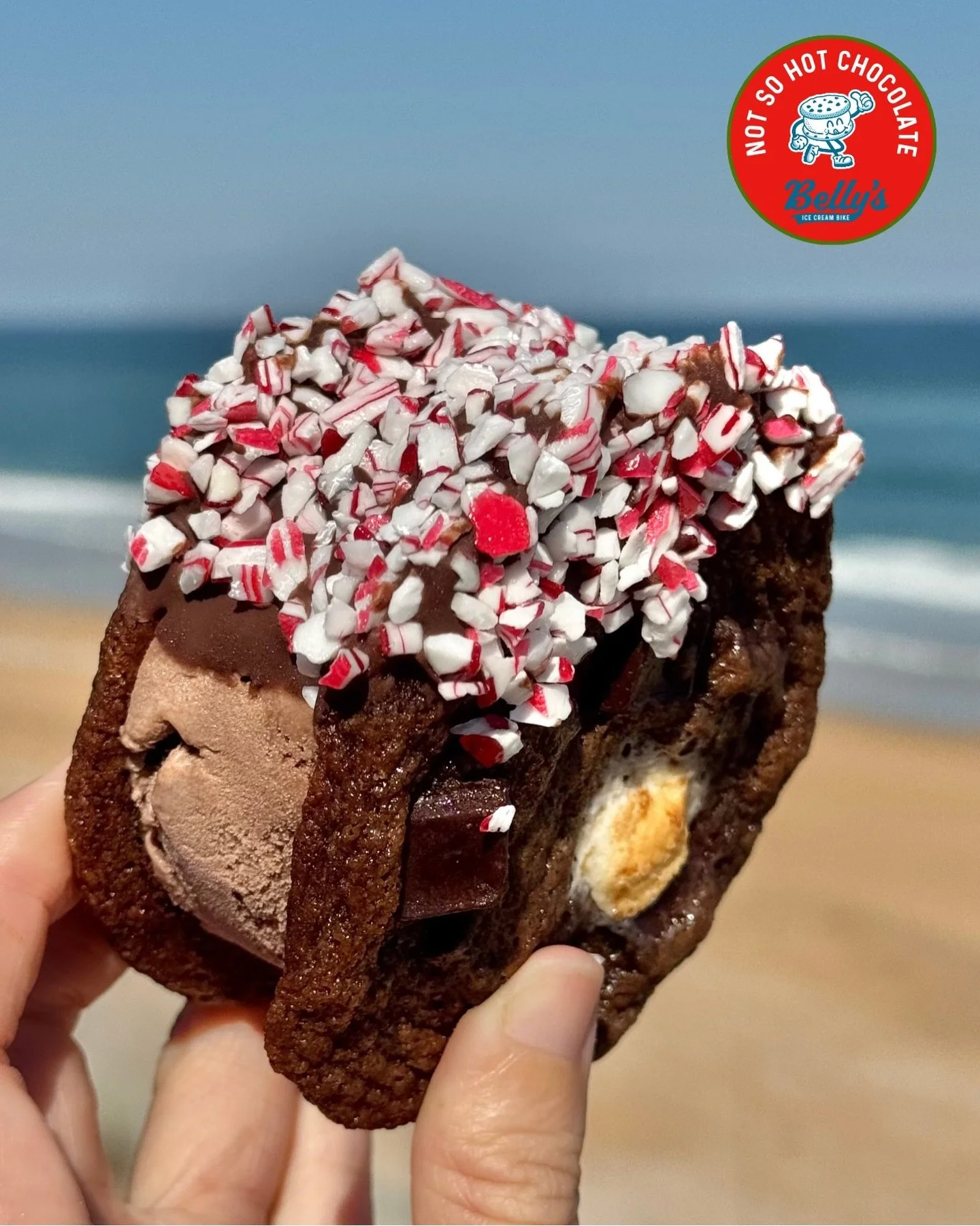 Thanksgiving: over. Holiday mode: activated. 🎅🏼

Say hello to our December seasonal ice cream sandwich, &ldquo;Not So Hot Chocolate.&rdquo; This puppy features a scoop of chocolate ice cream in between two of our fan-favorite double chocolate chunk