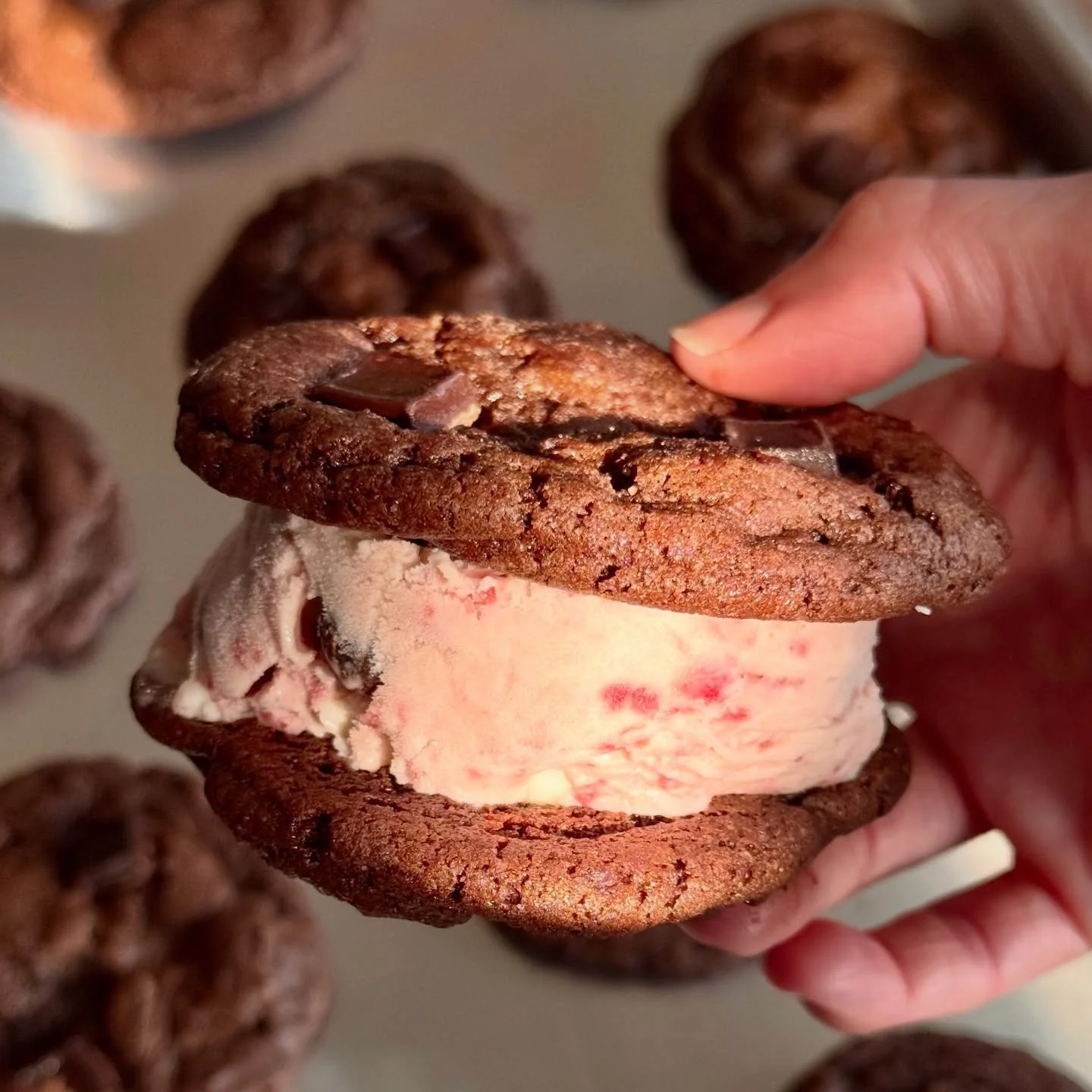 This weekend is your last chance to try our handmade Chocolate Covered Strawberry ice cream, best enjoyed sandwiched between two of our Double Chocolate Chunk cookies. 🍓💌 Also available by the scoop in a cup. 

You sold us out of these puppies last