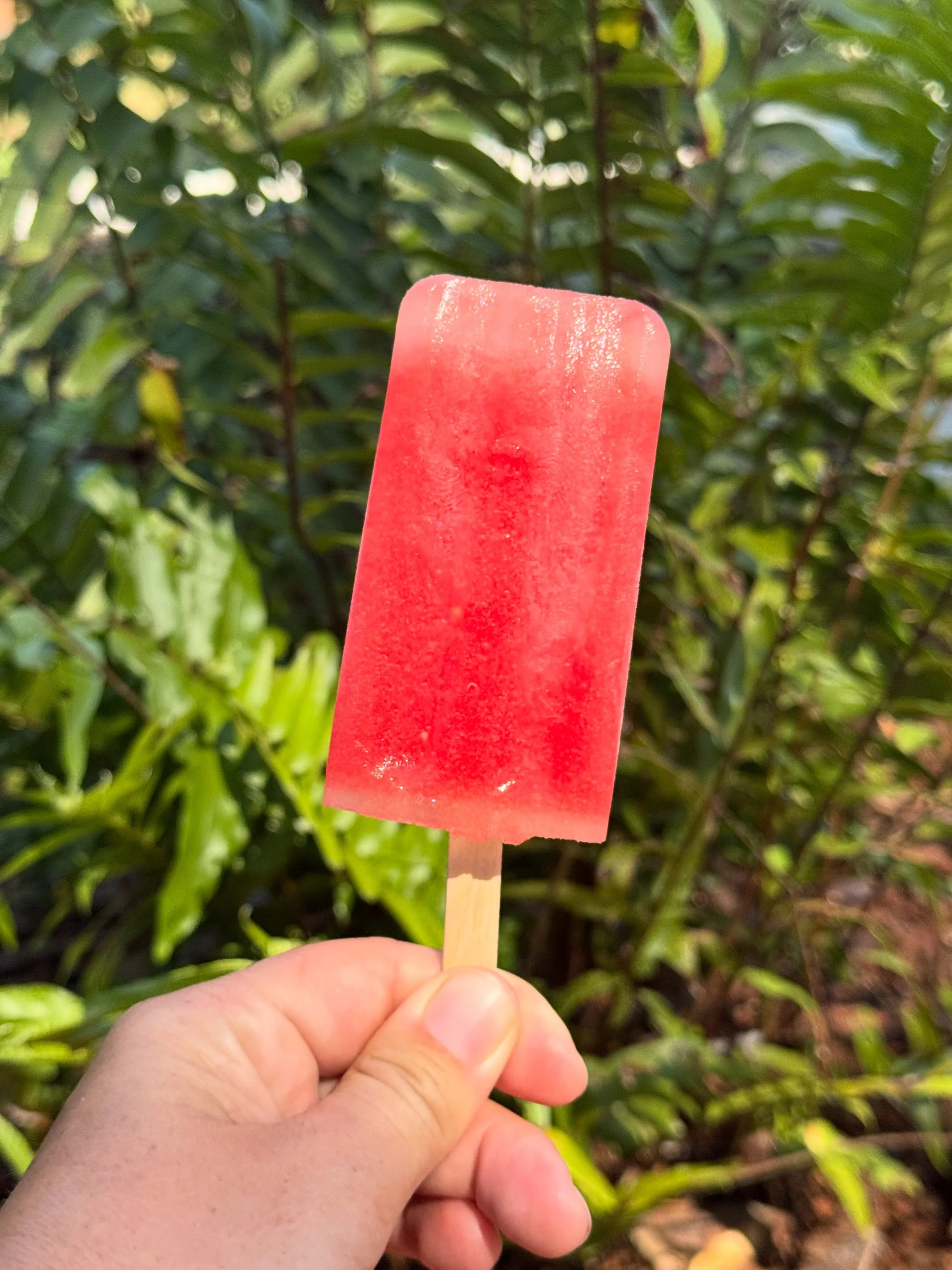 Palm Coast, we cannot wait to see you all at the upcoming Watermelon Festival at @palmcoastfarmersmarket on June 7th from 10am-4pm. Much like at the recent Strawberry Fest, we will be offering a custom menu featuring local Florida produce. This time,