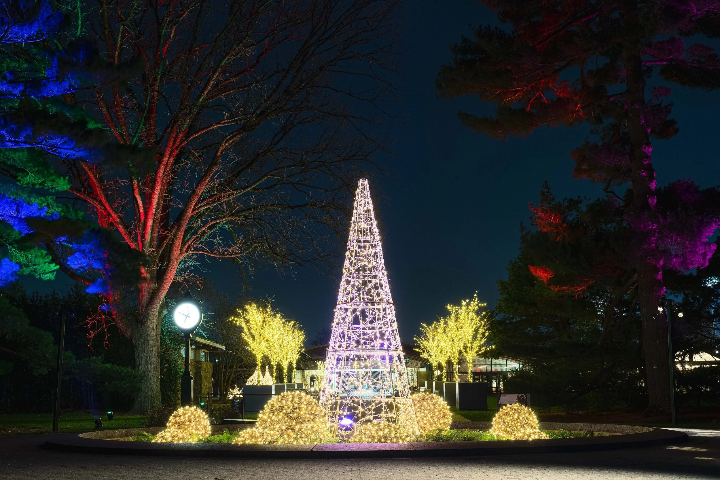 NYBG-GLOW-MCO-A9_09588-scaled.jpg