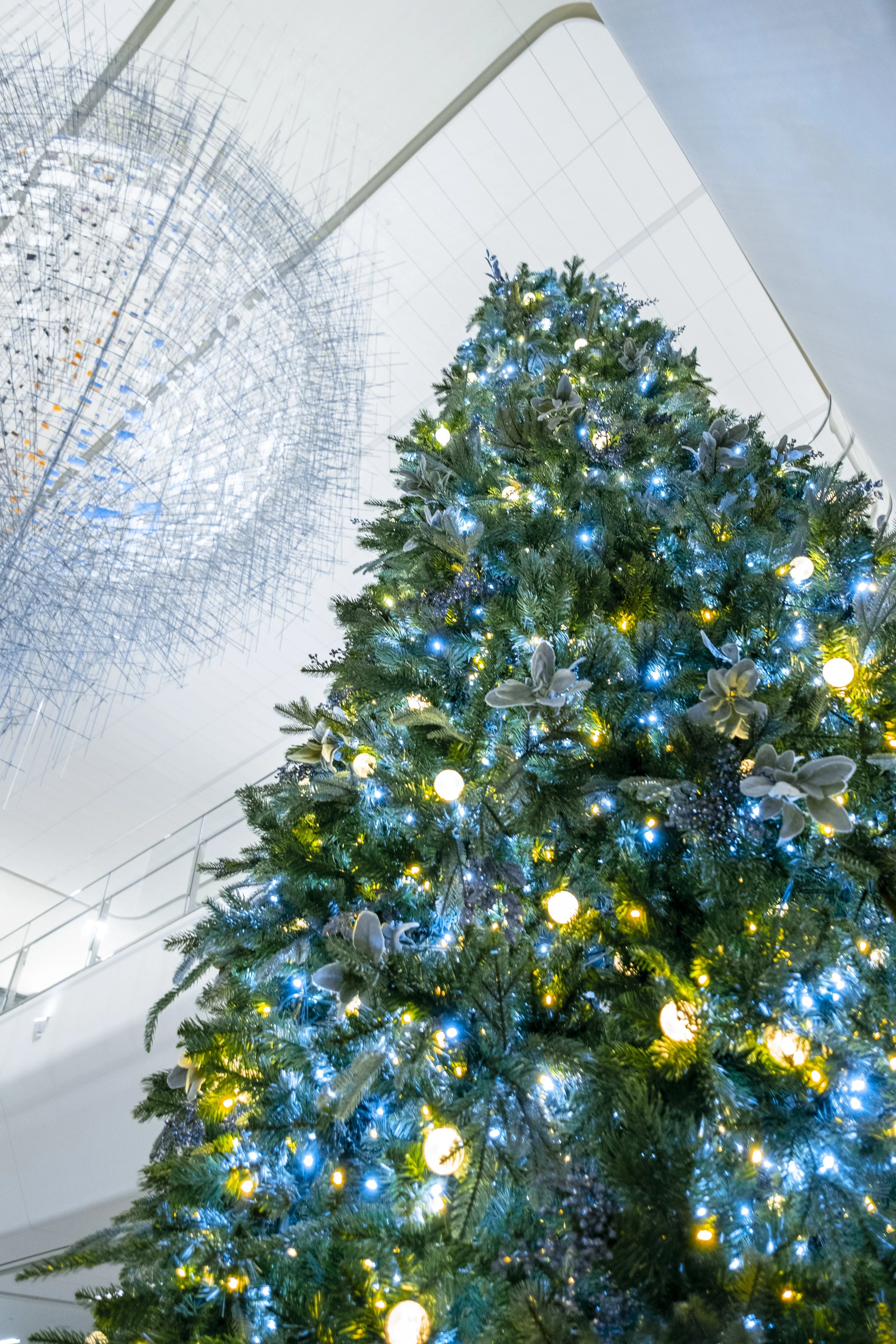 AmXmas_LGA (217 of 225).jpg