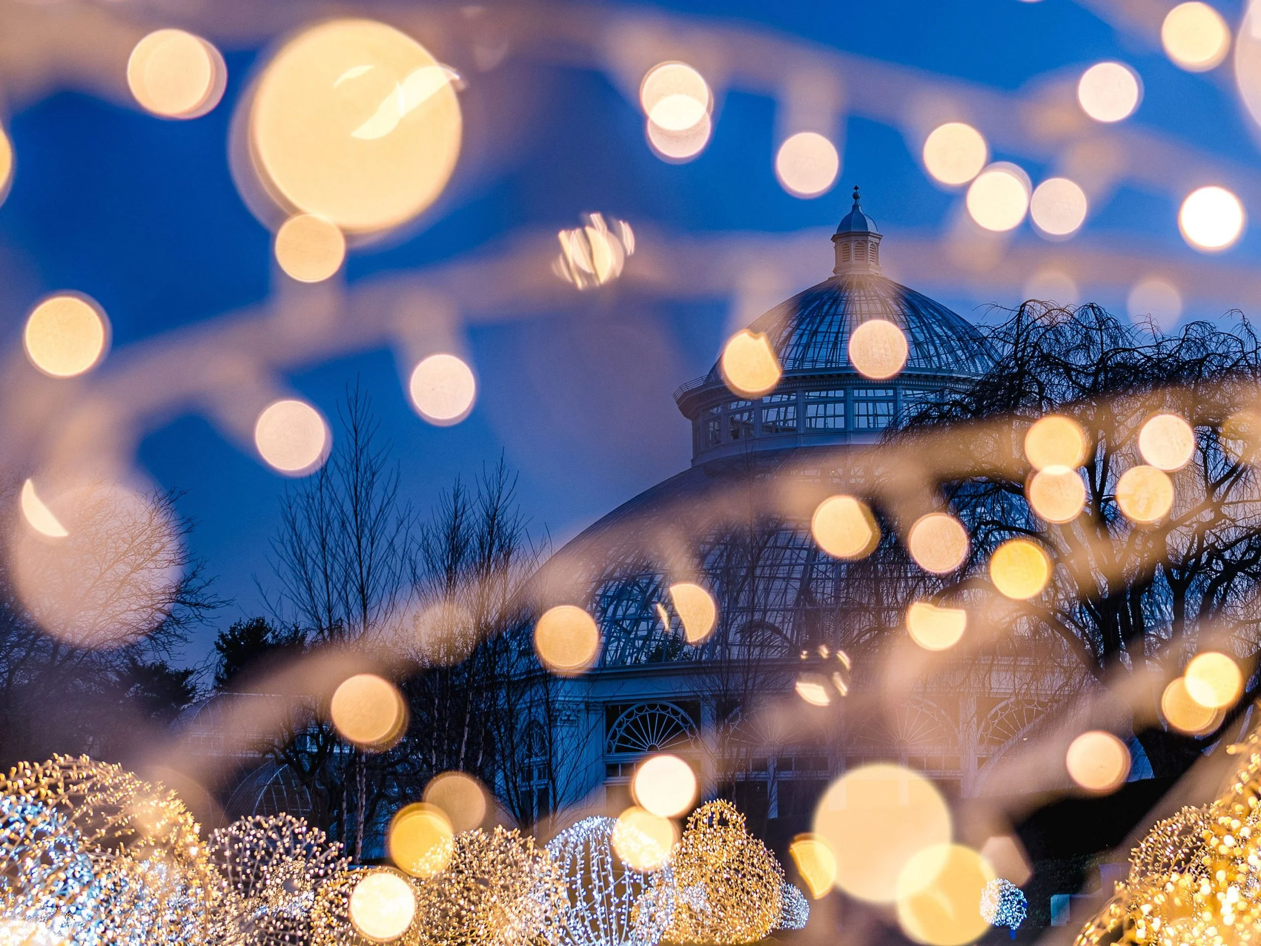 NYBG-GLOW_Conservatory1.jpg