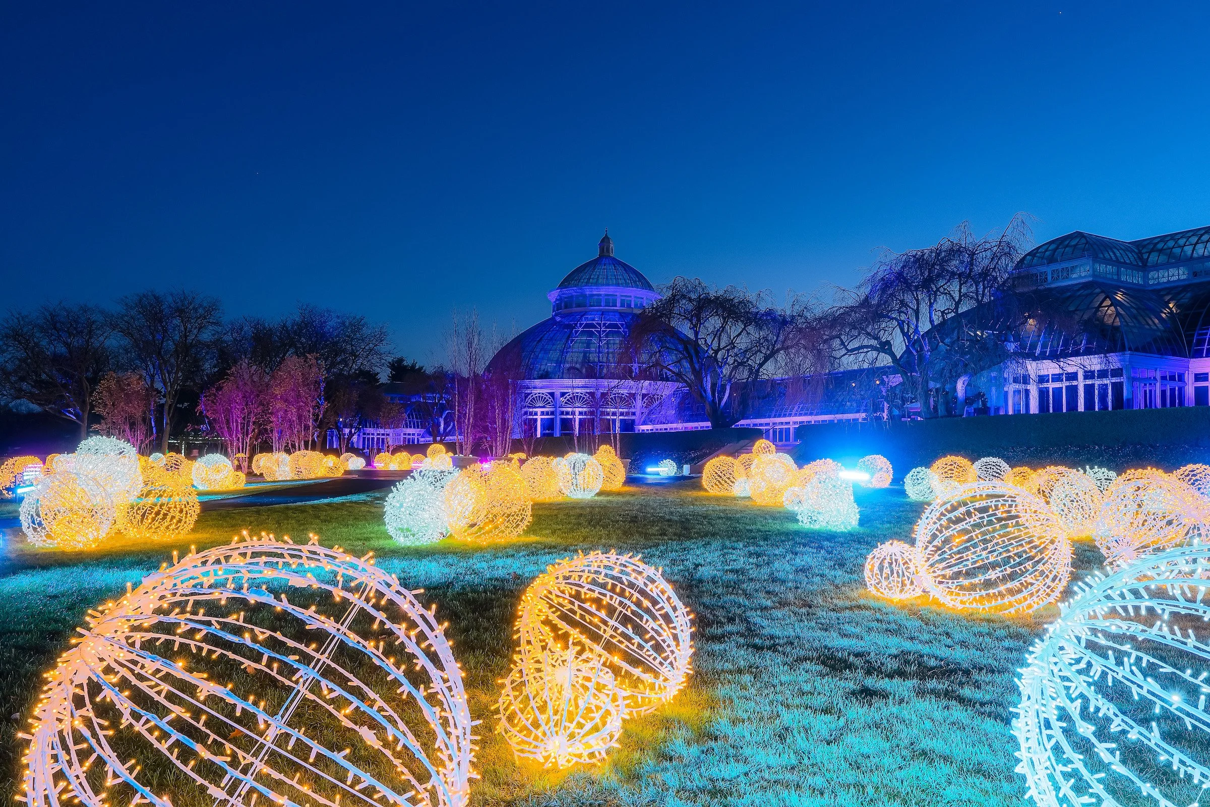 NYBG-GLOW-MCO-A9_09649.jpg