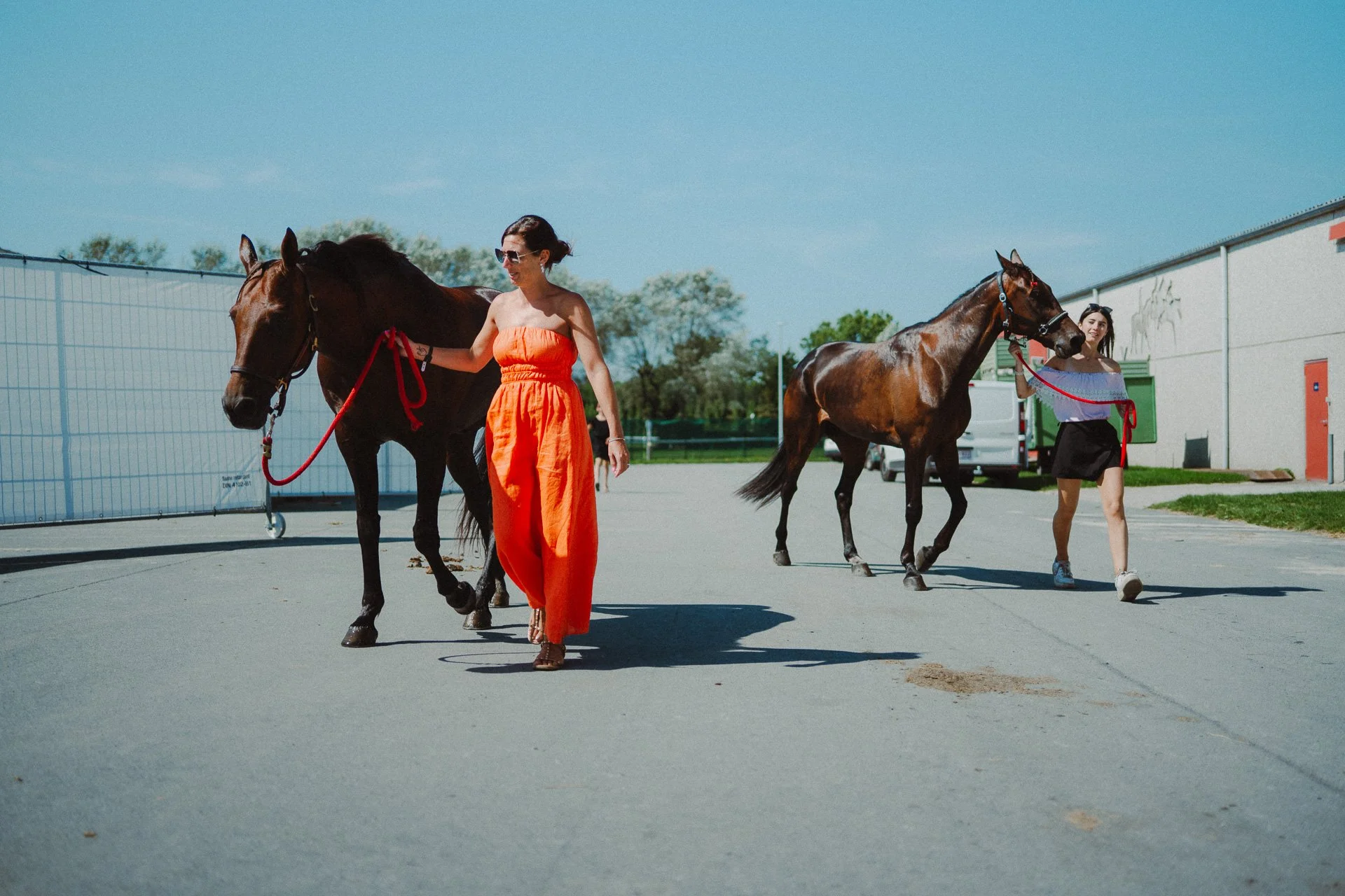 Alain Monnens-240827-008.jpg