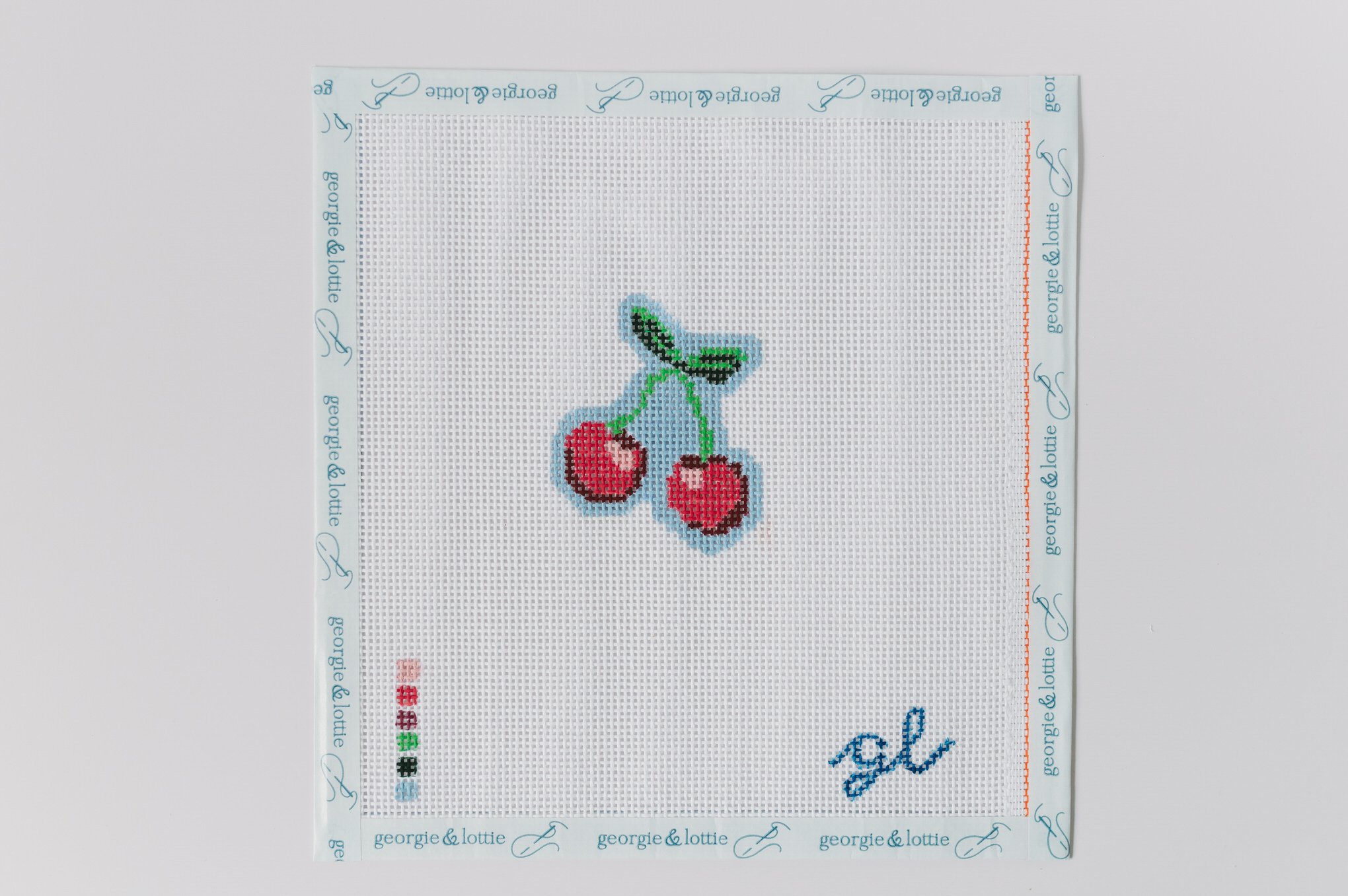 The Best Beginner Needlepoint Canvases(…and Which Ones to Avoid For Your First Stitch)