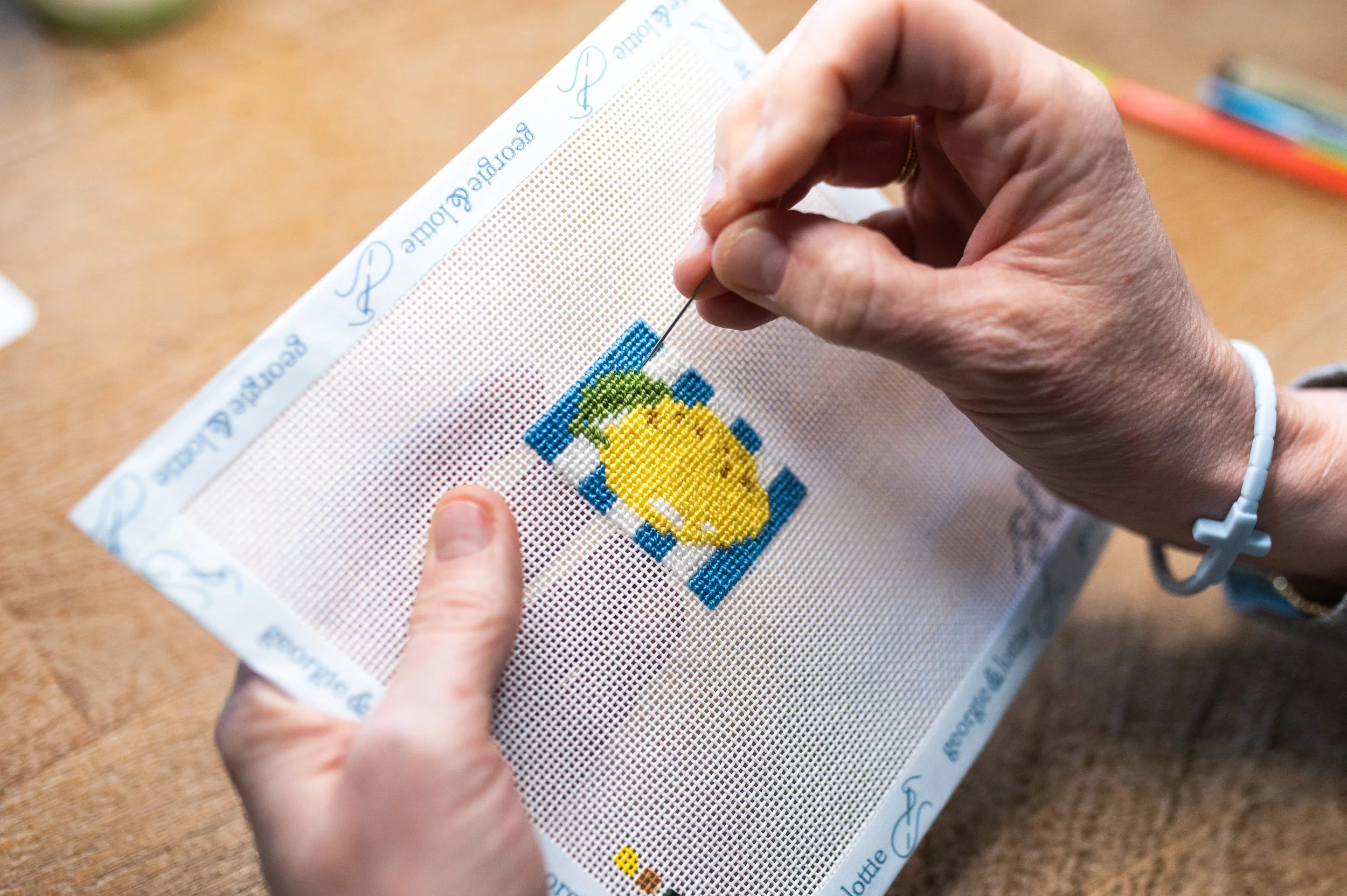 How-to-fix-common-needlepoint-problems-Georgie-and-Lottie.jpg