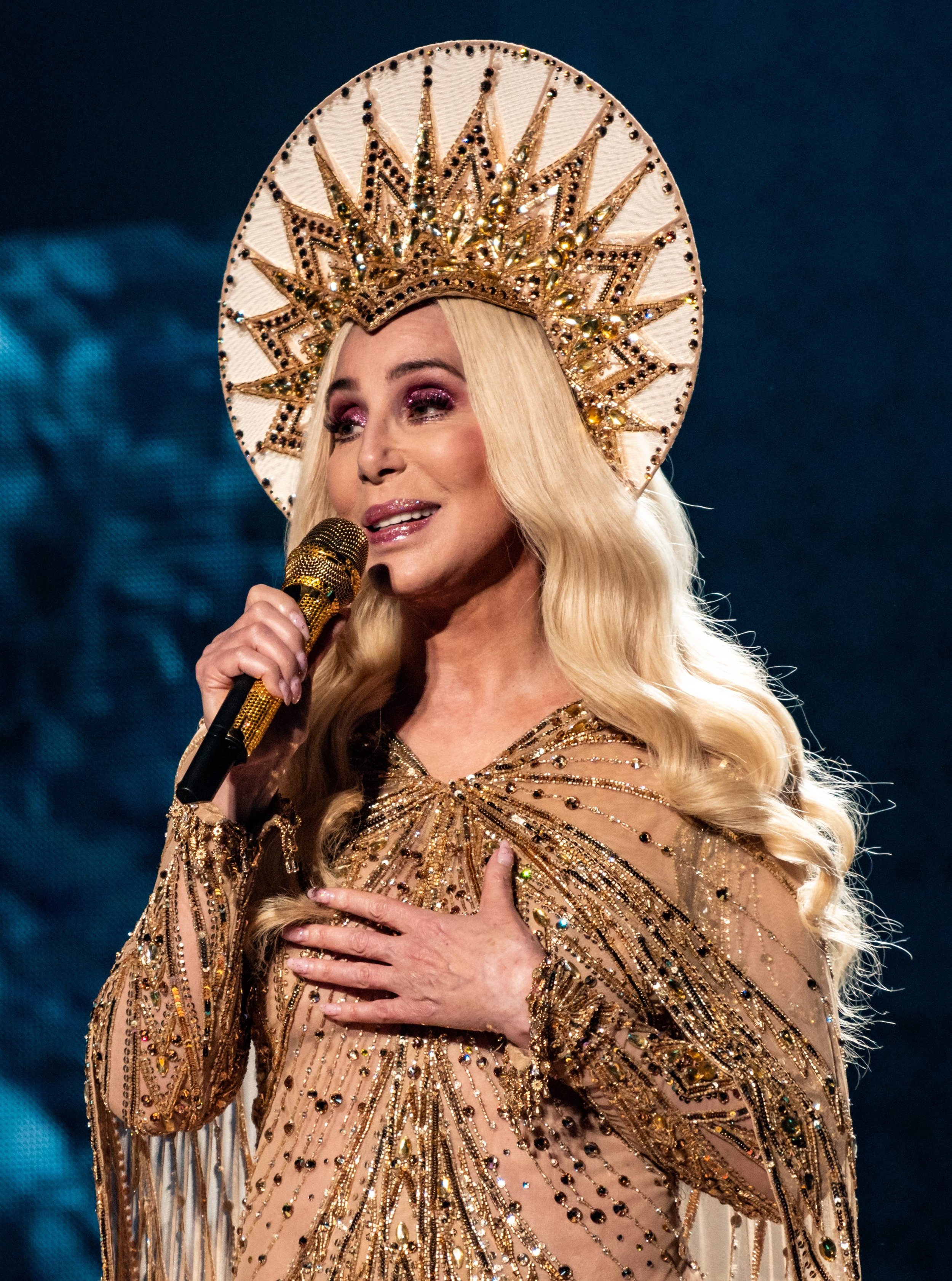 Cher:Famous Needlepointer