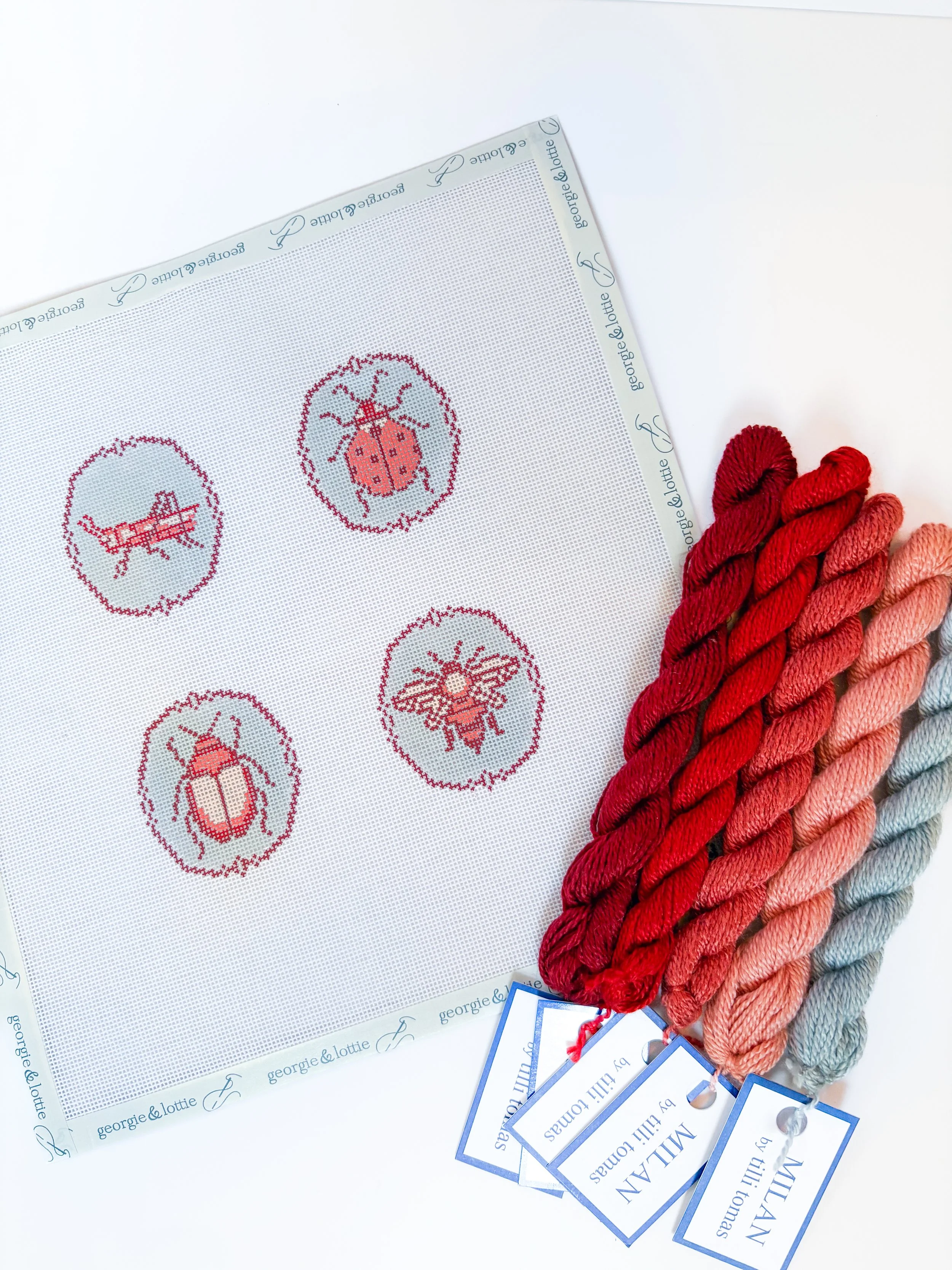 The Red Bug Collection Canvas