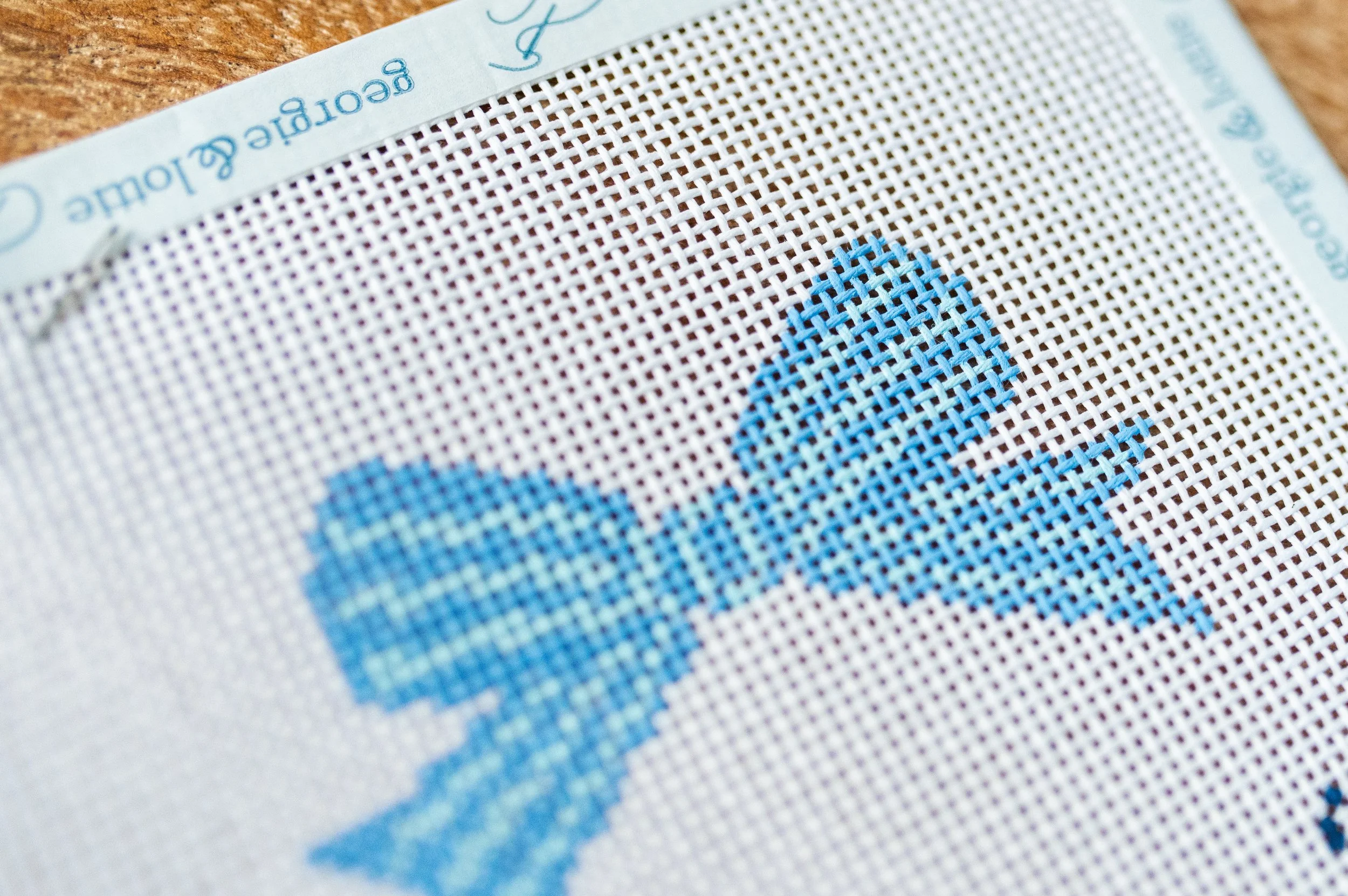 beginner needlepoint canvas