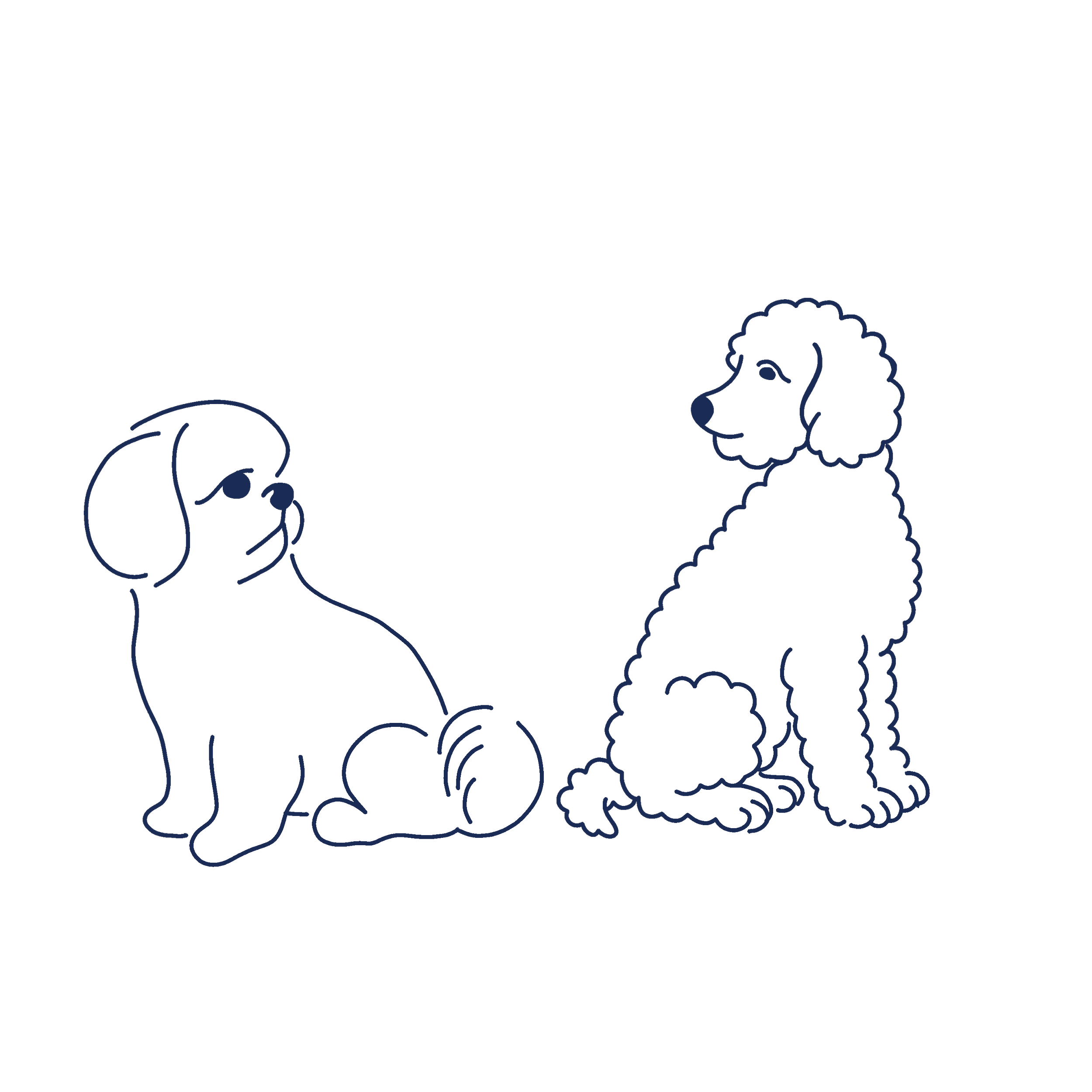 Outline illustration of two dogs facing each other - Georgie & Lottie.