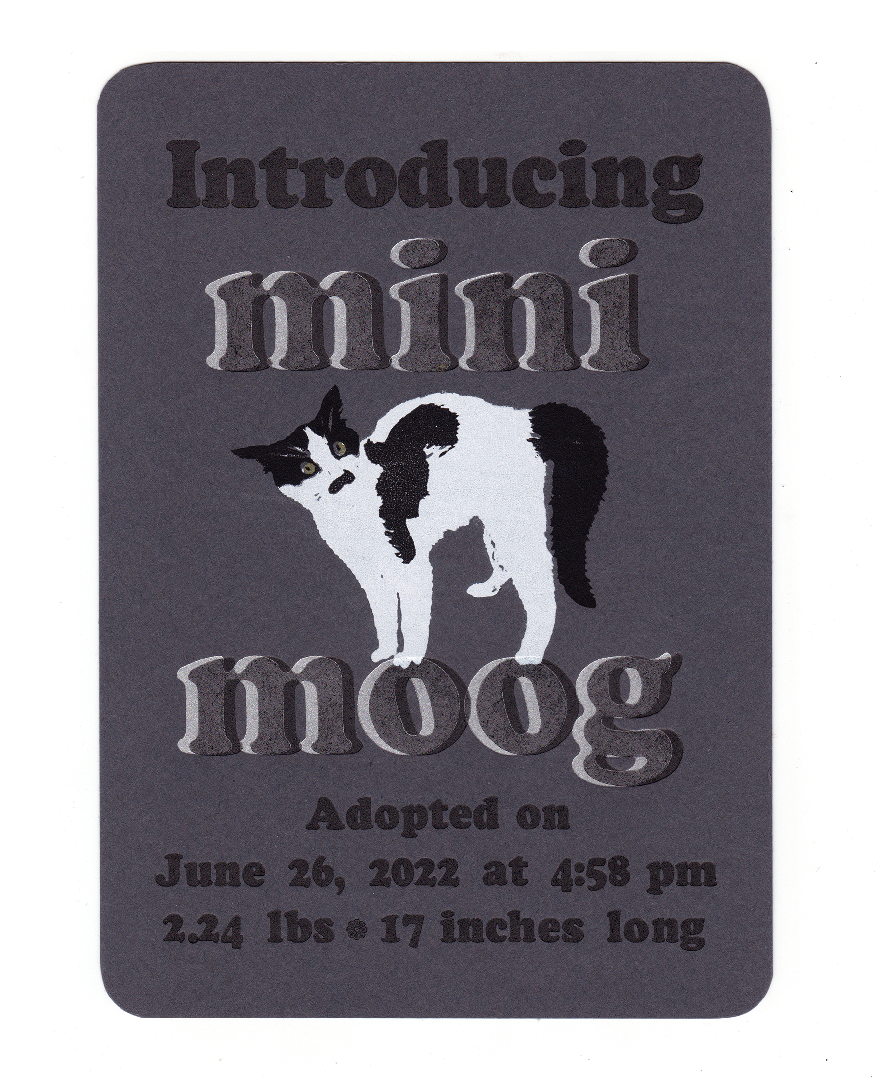 Image_12_MiniMoog.png