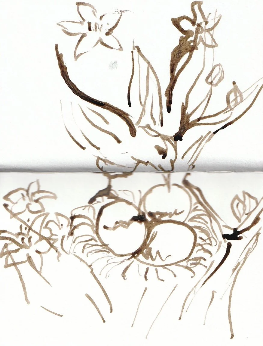 Sketch of a person's hand holding a flower with a bee flying nearby, and an outline of apples and a nest with eggs or small fruits on a tree branch.