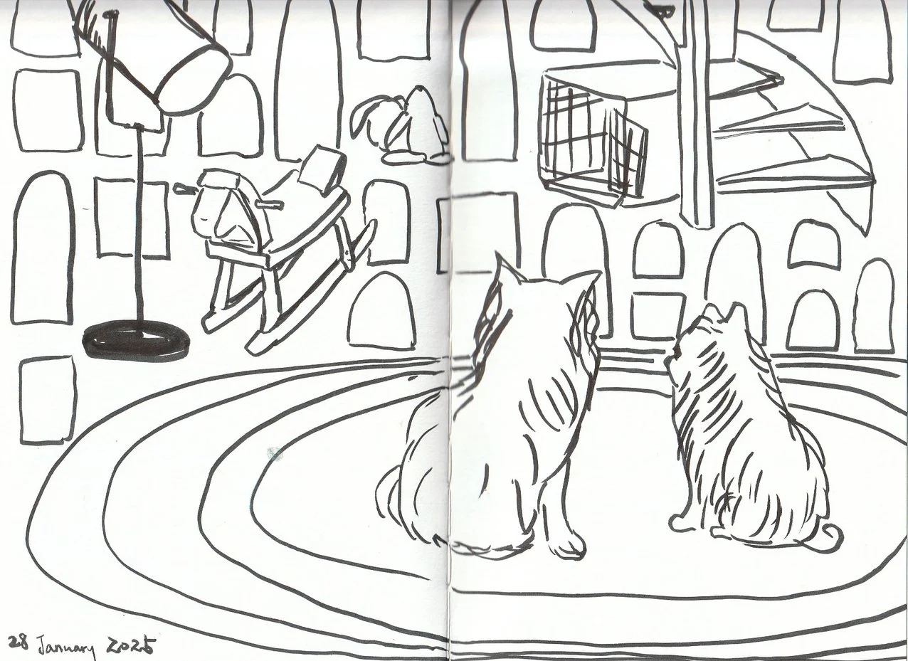 Line drawing of two dogs sitting on a circular rug in front of a bookstore display with bookshelves, a lamp, and a rocking chair.