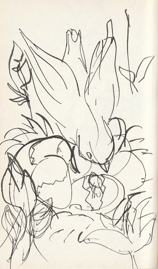 A line drawing depicting a bird, likely a hawk or eagle, looking at two eggs surrounded by leaves.