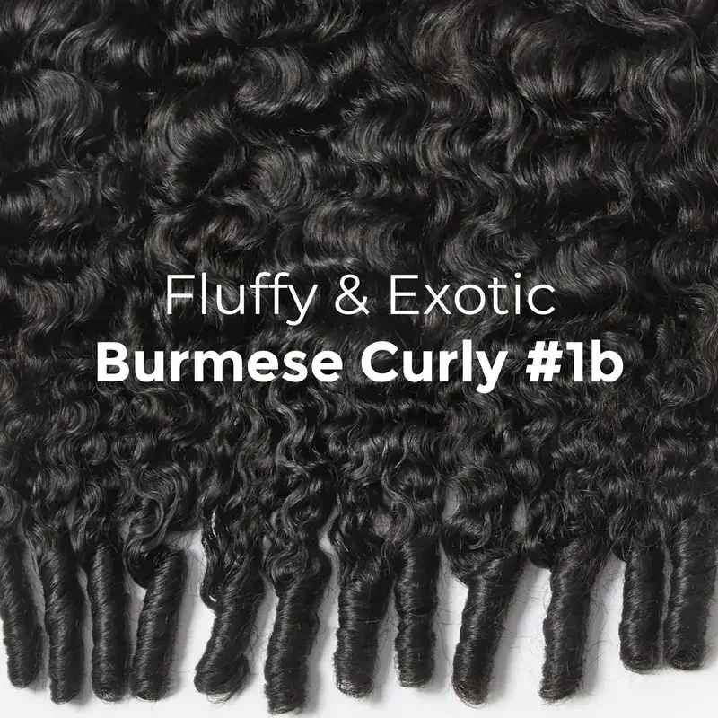 18 & 22inch #1B Natural Black Burmese Curly Half
