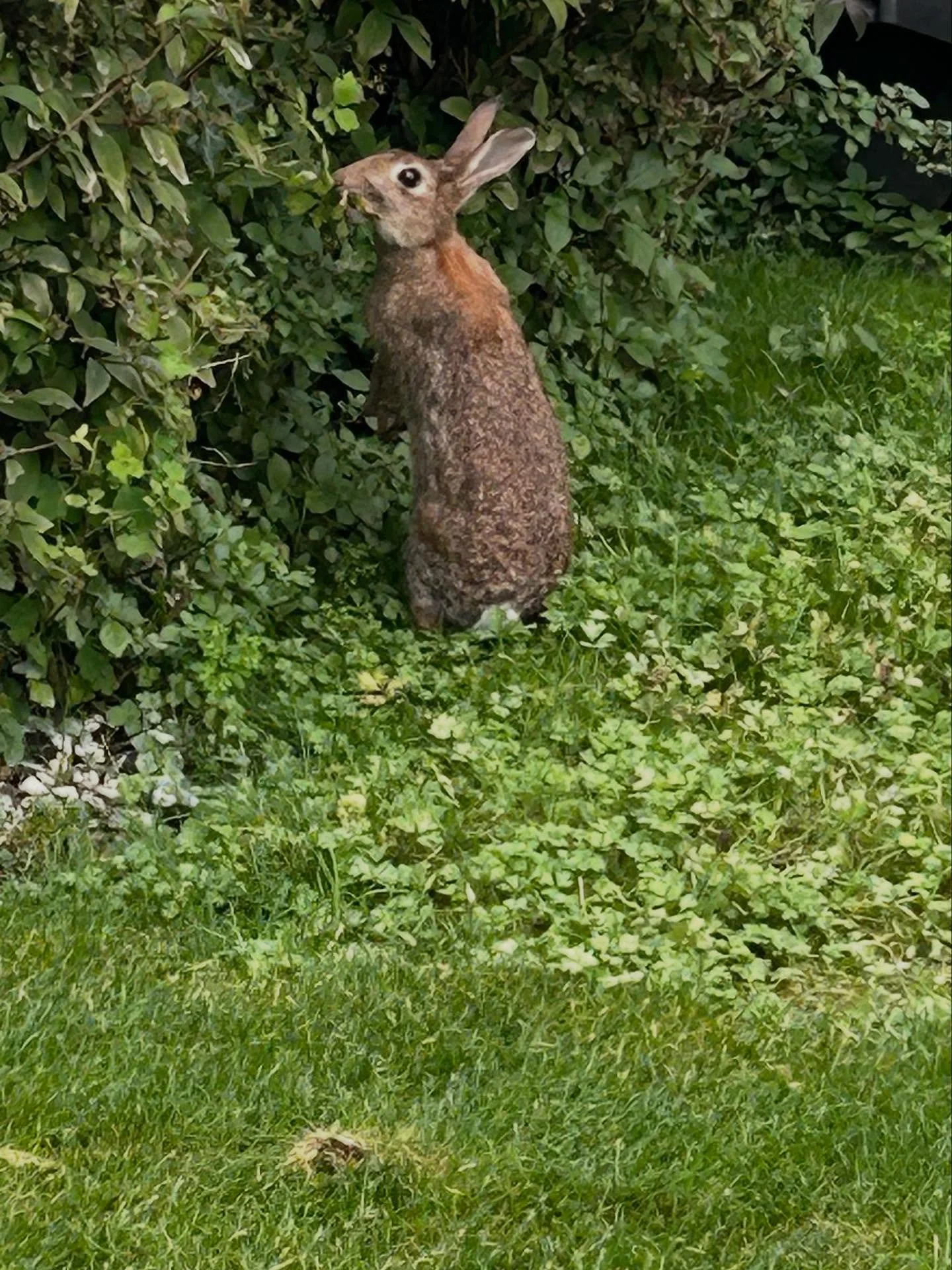 Not Iceland, not Peru, not anywhere wild&hellip; just a little photo my girls snapped on a trip. 💛 I love seeing what they notice&mdash;so different than what I do. It&rsquo;s not always about the big, epic spots. These small moments end up being th