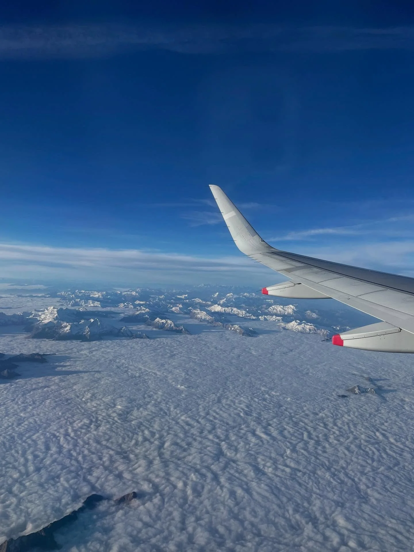 Ever wonder what those little travel codes mean? IATA, ARC, CLIA, TRUE&hellip;

They&rsquo;re how I connect with airlines, cruises, and travel partners around the world. They&rsquo;re what make your trip actually work behind the scenes.

I&rsquo;m ce